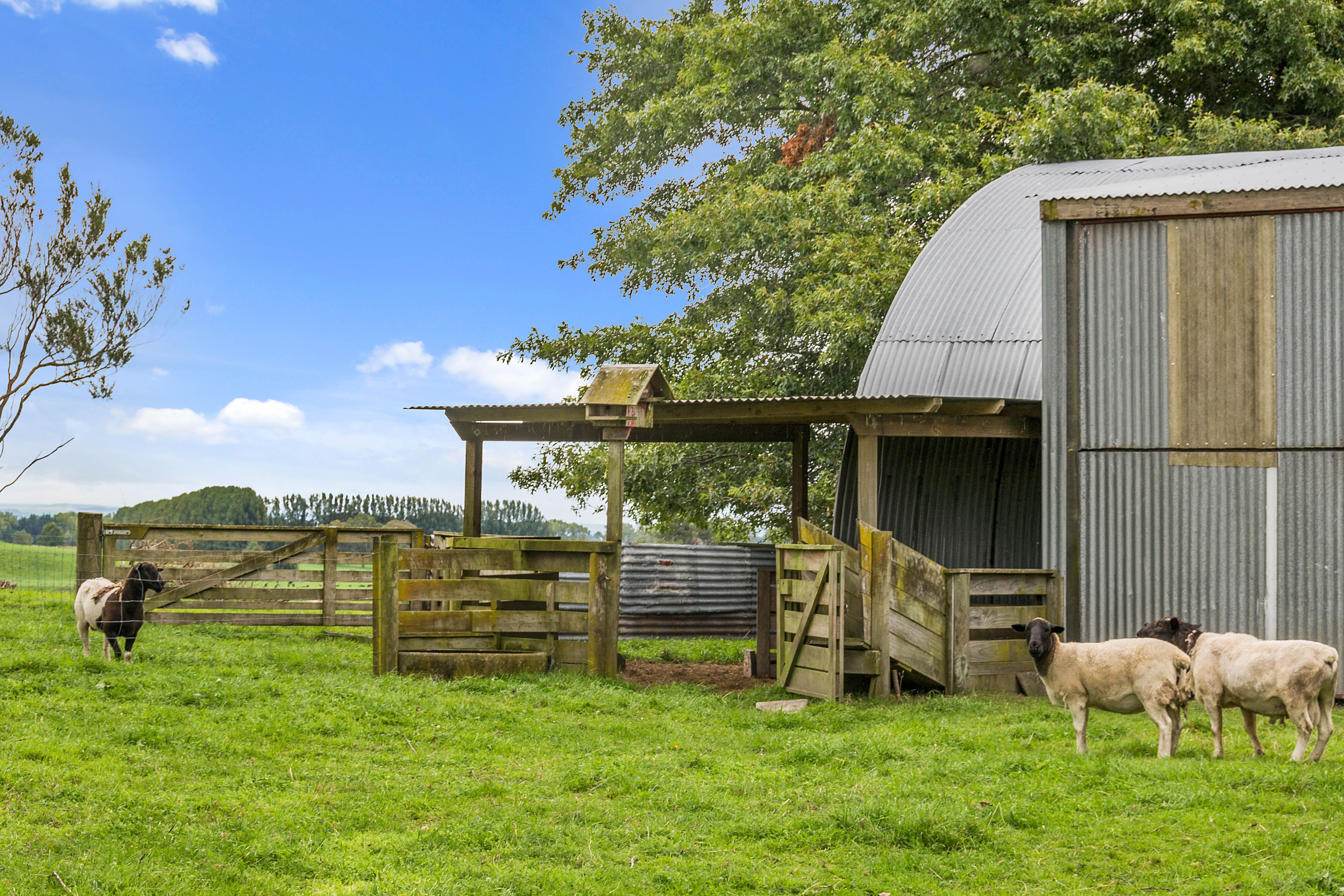 18 Alamein Road, RD2, Reporoa, Bay of Plenty