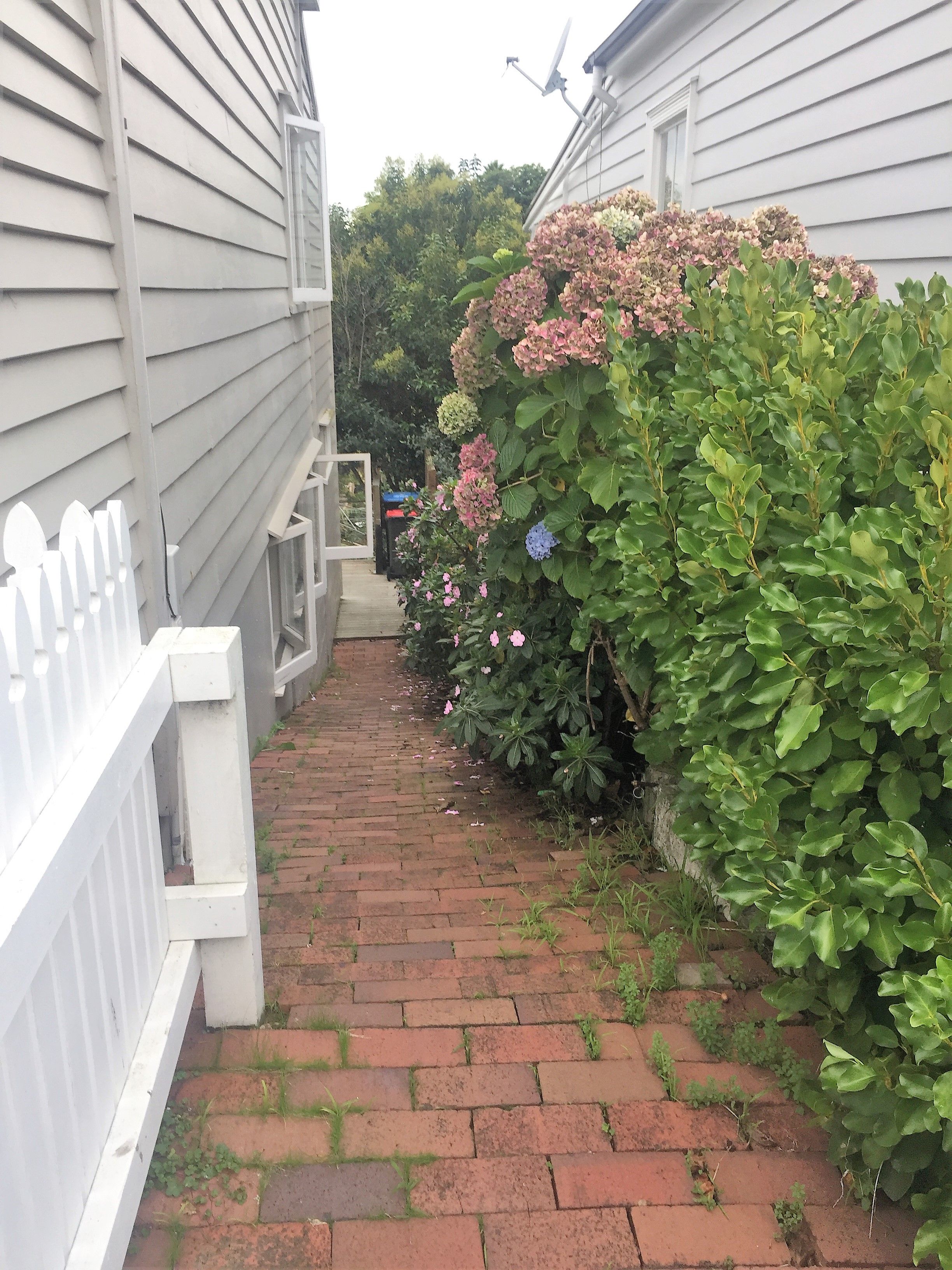 30 Bond Street, Grey Lynn, Auckland City