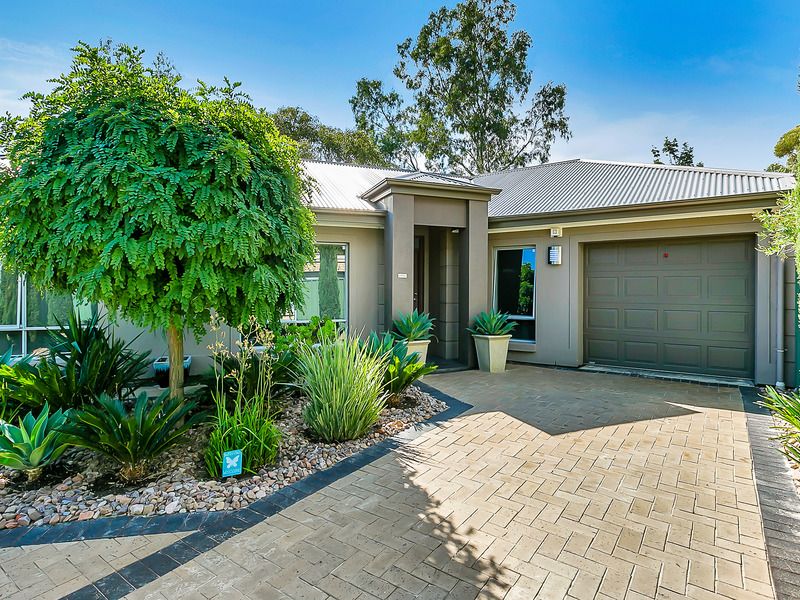 8B Brookside Road, Athelstone, SA 5076