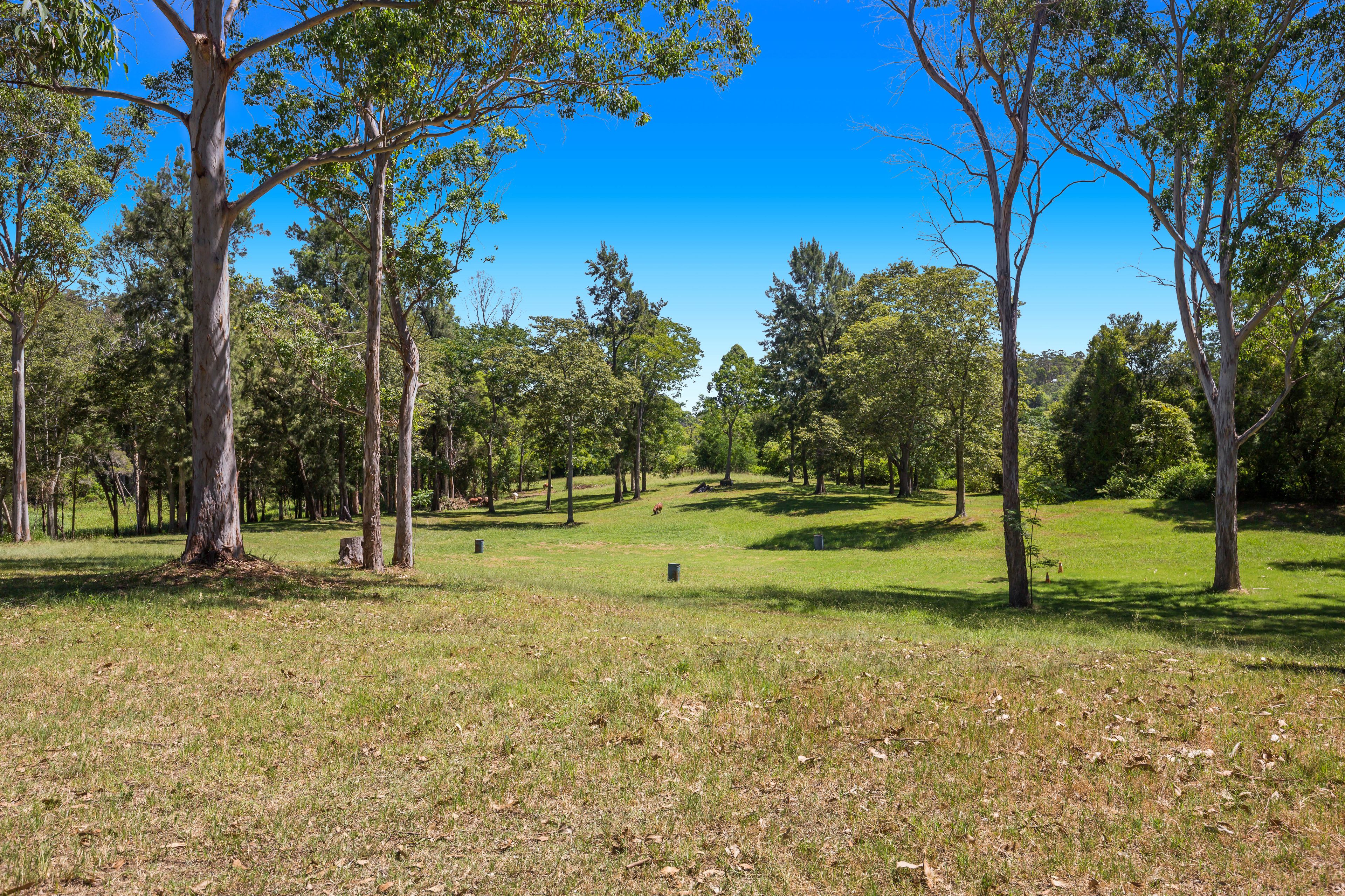 110 Tizzana Road