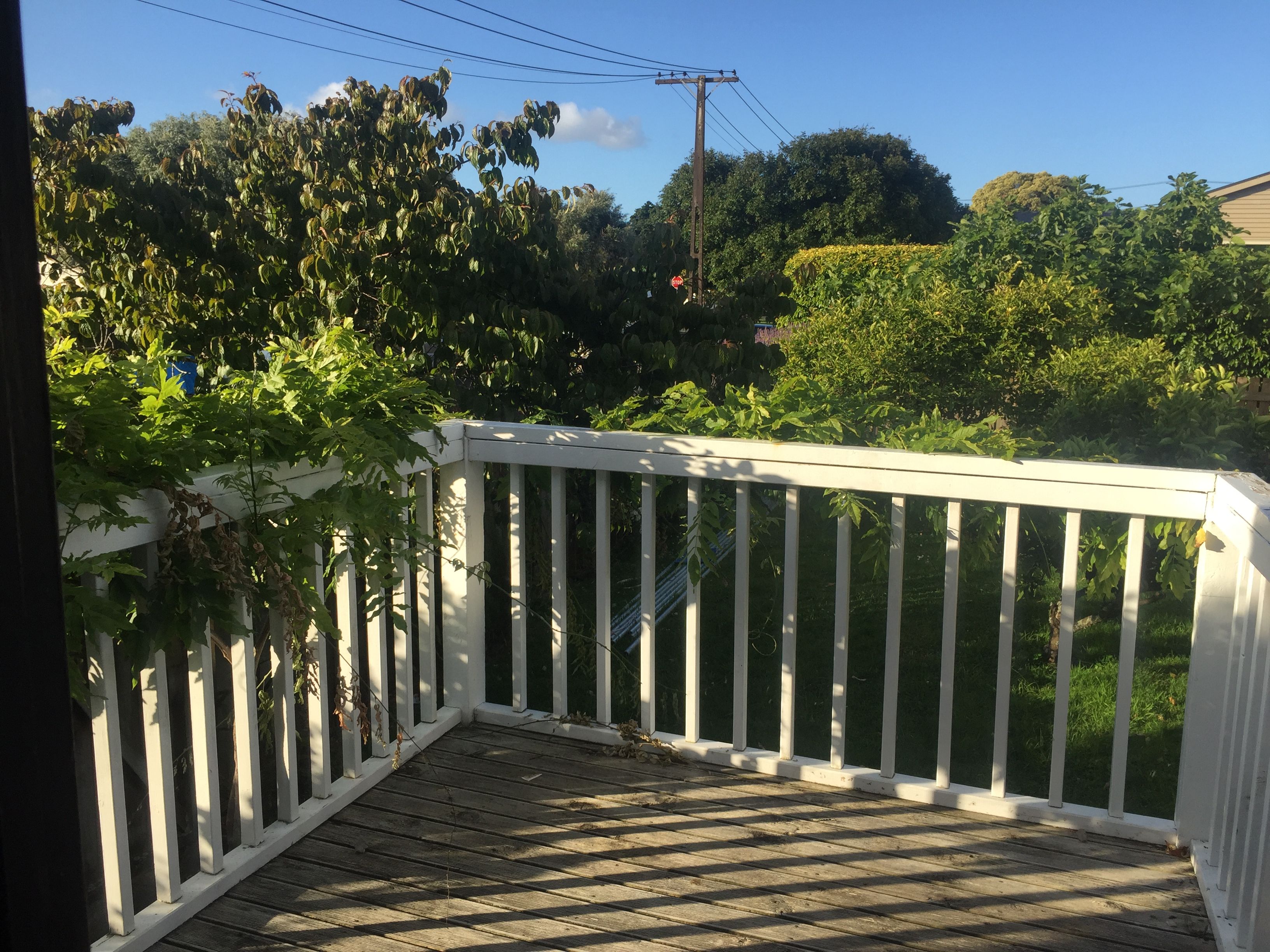 27 Lambeth Road, Mount Eden, Auckland City