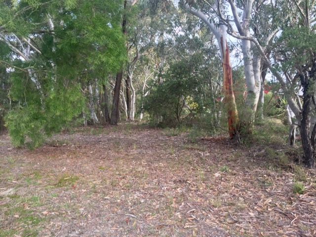 96 Shipley Road, Blackheath, NSW 2785