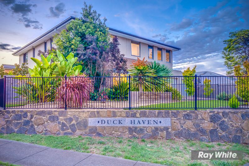 429 Morris Road, Tarneit, VIC 3029