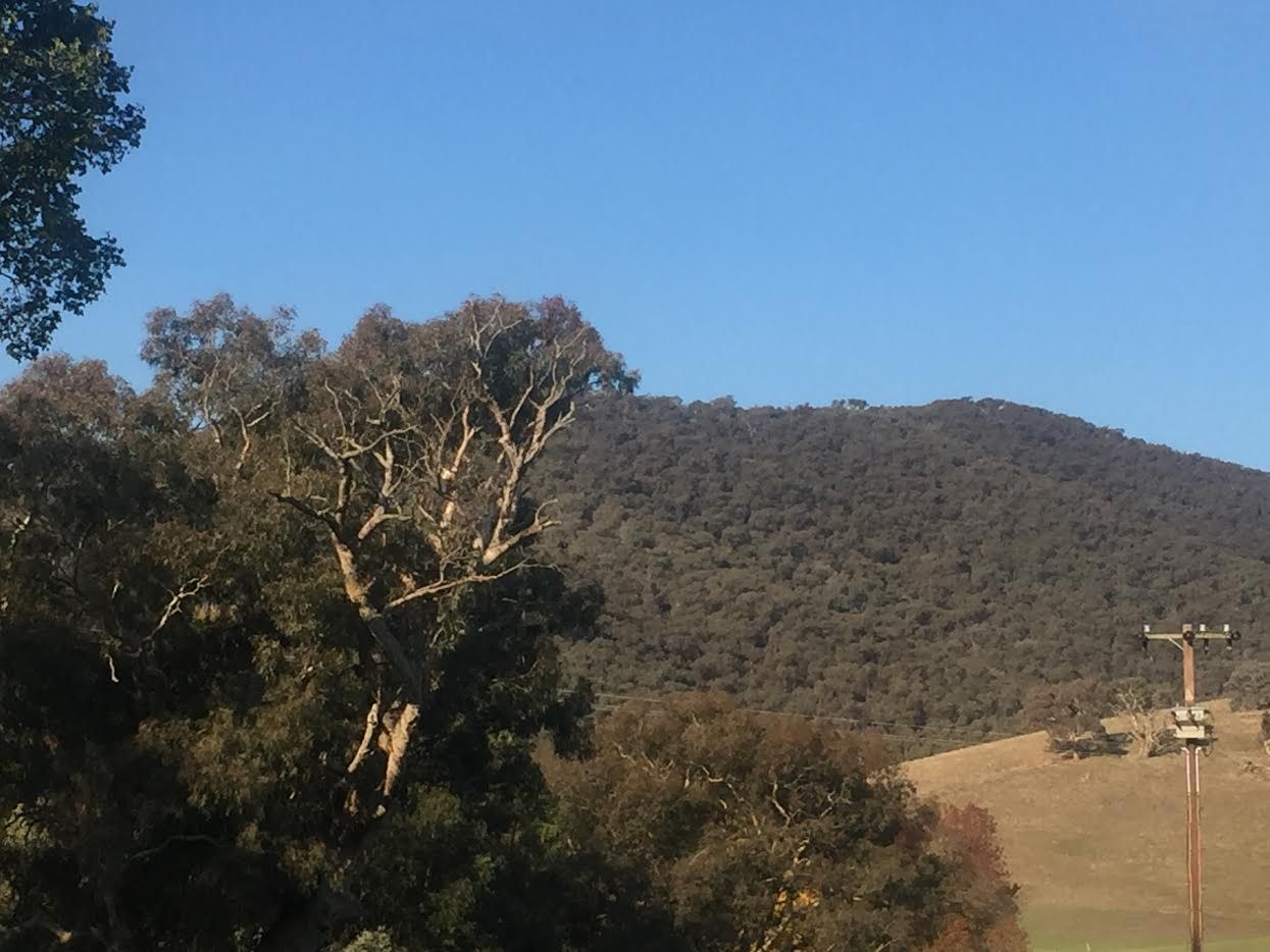 5980 Batlow Road, Tumut, NSW 2720