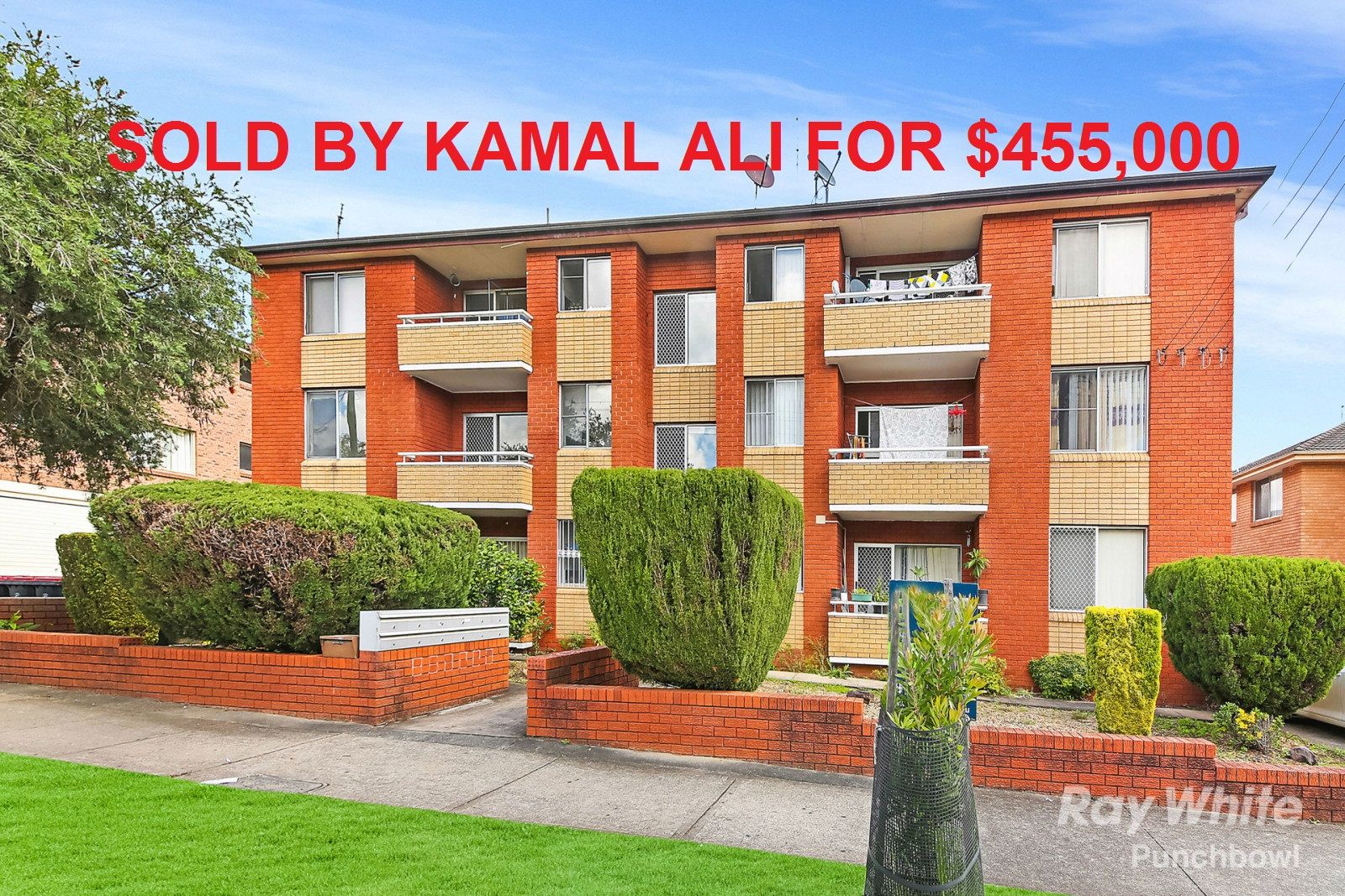 77 Denman Avenue, Wiley Park NSW 2195
