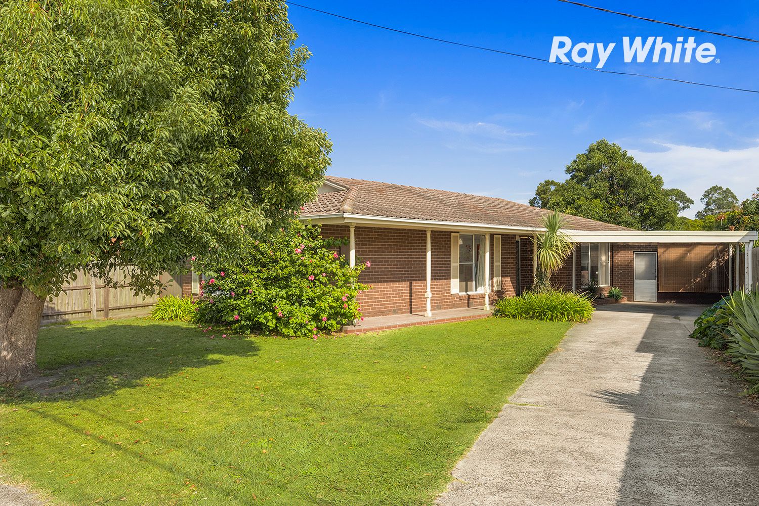 256 Spring Road, Dingley Village VIC 3172