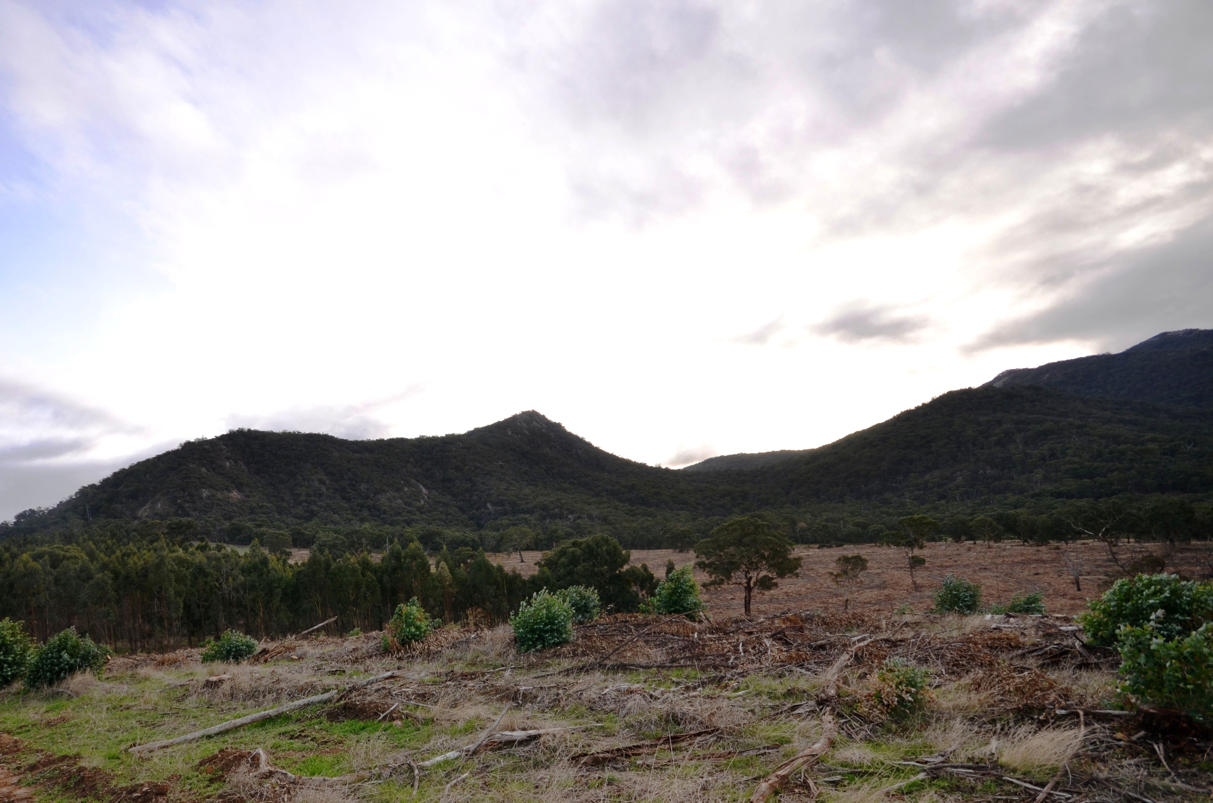 "Lewis" Lot 1 Colonial Road, BUANGOR, VIC 3375