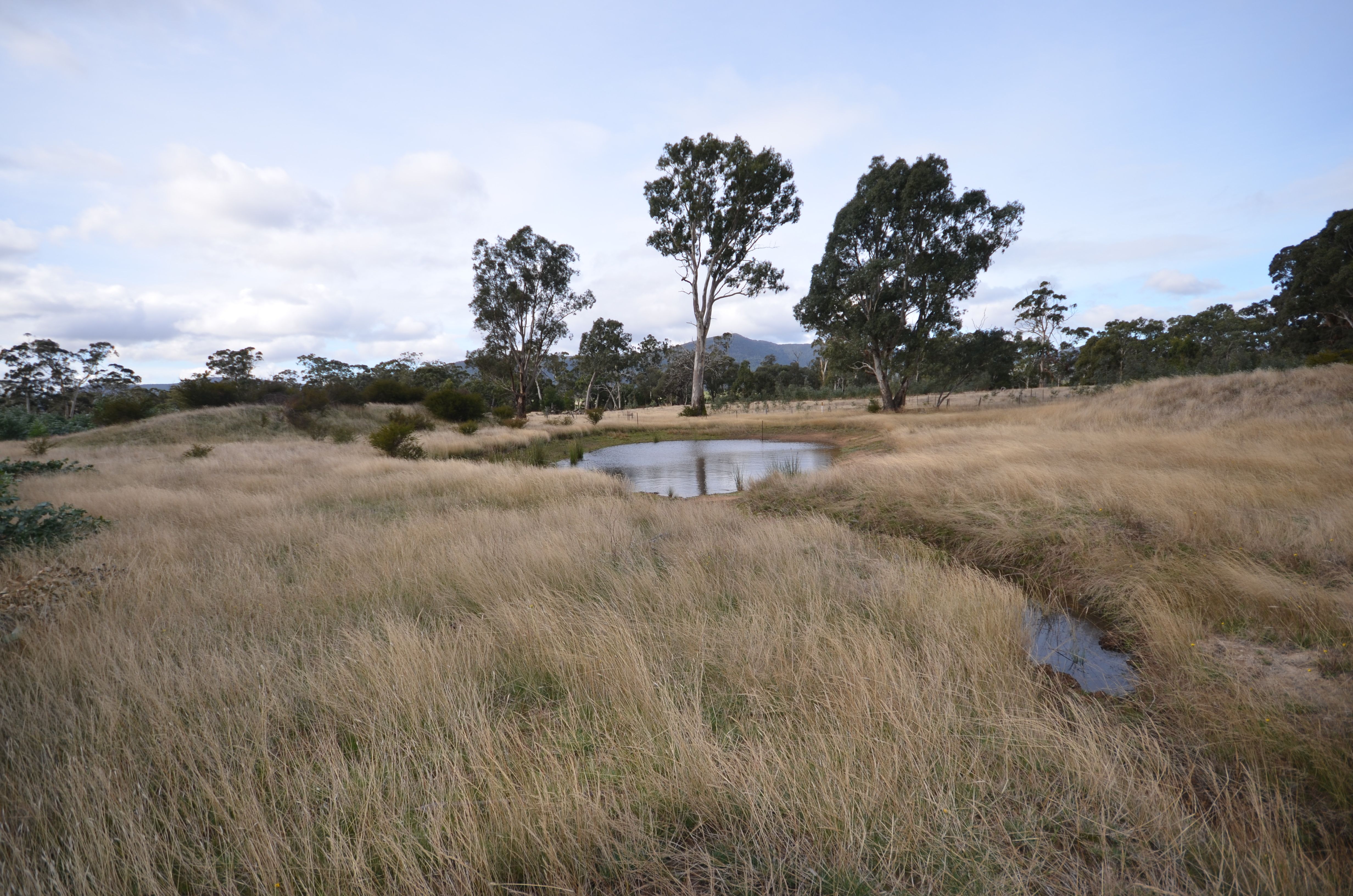 "Lewis" Lot 2 Buangor - Ben Nevis Road, BUANGOR, VIC 3375