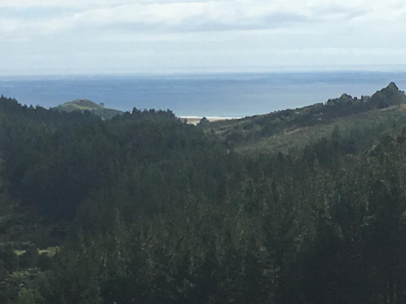 Kaeo, Far North District