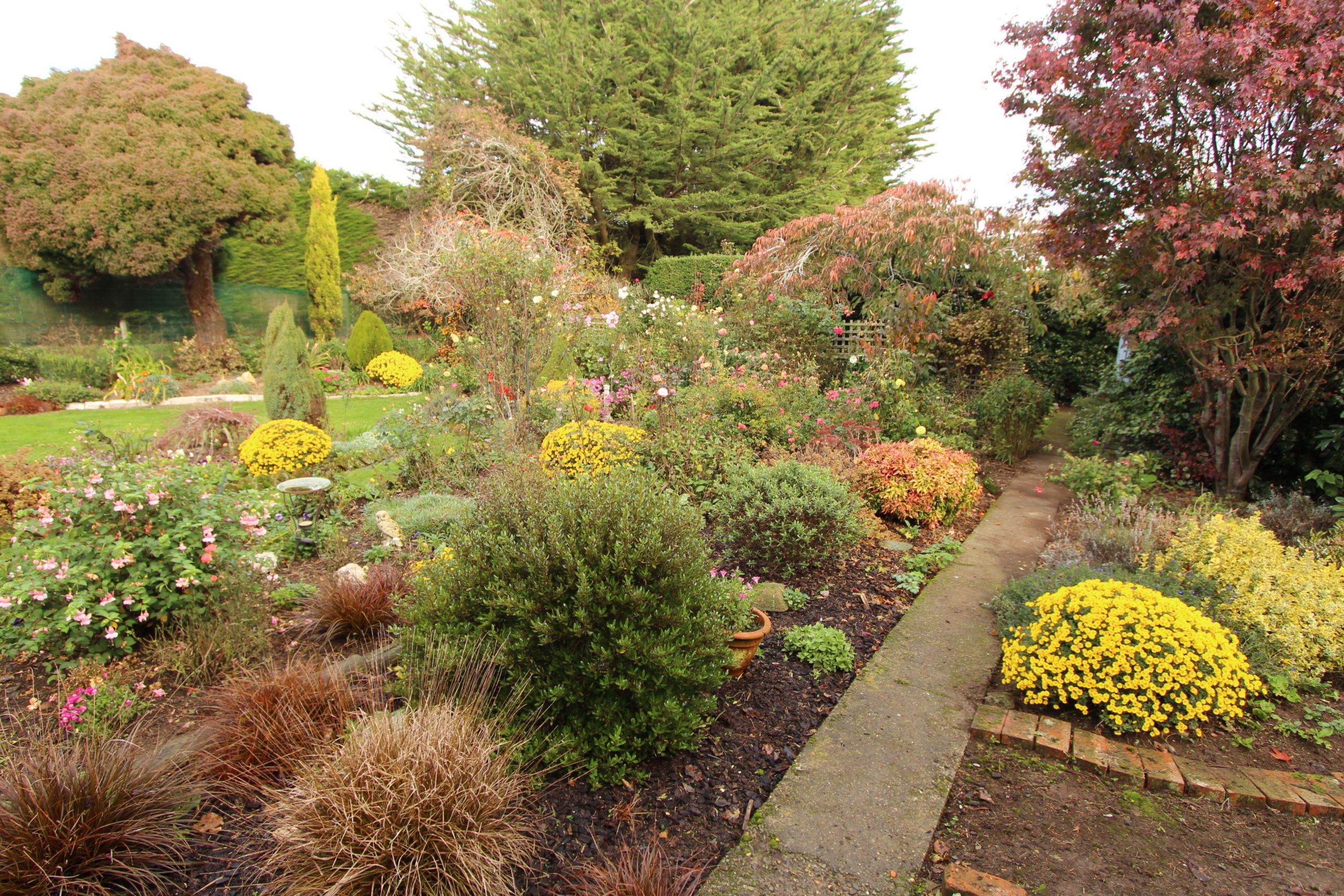 113 Waimatuku Bush Road, Invercargill Central, Invercargill
