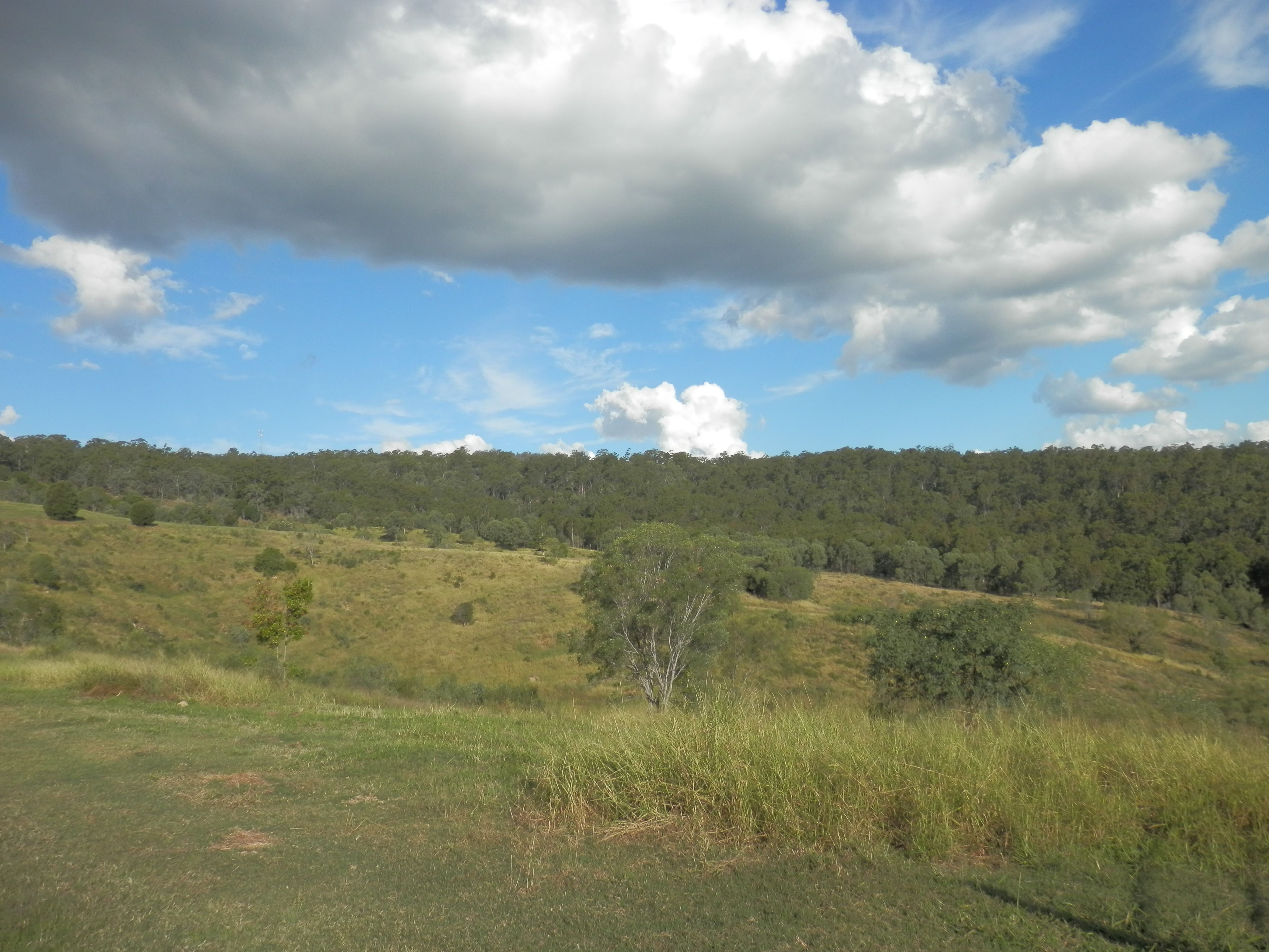 13 Waldron Road, Hatton Vale, QLD 4341