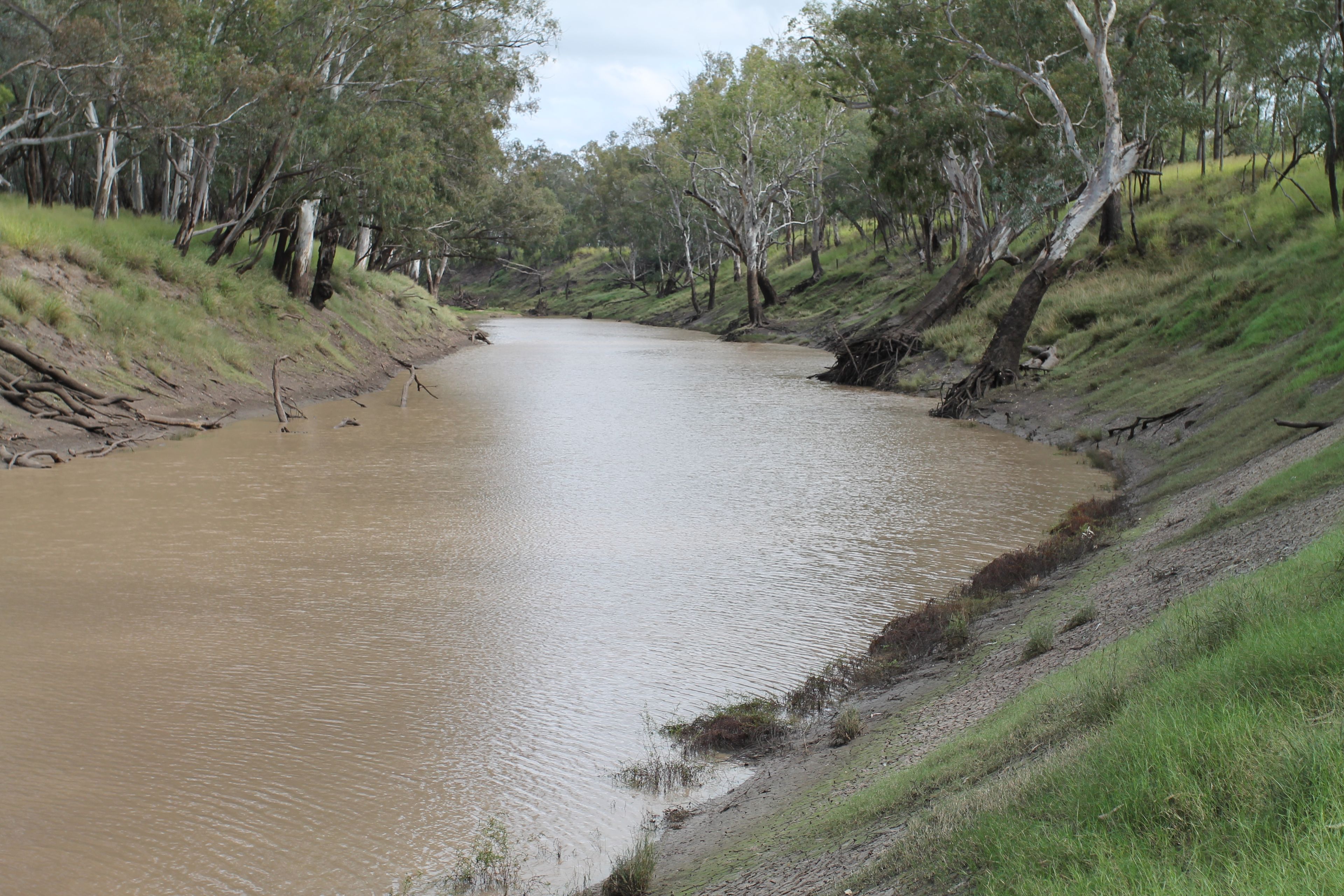 3054 Kyilla Road, QLD 4423 Sold Rural Mixed Farming