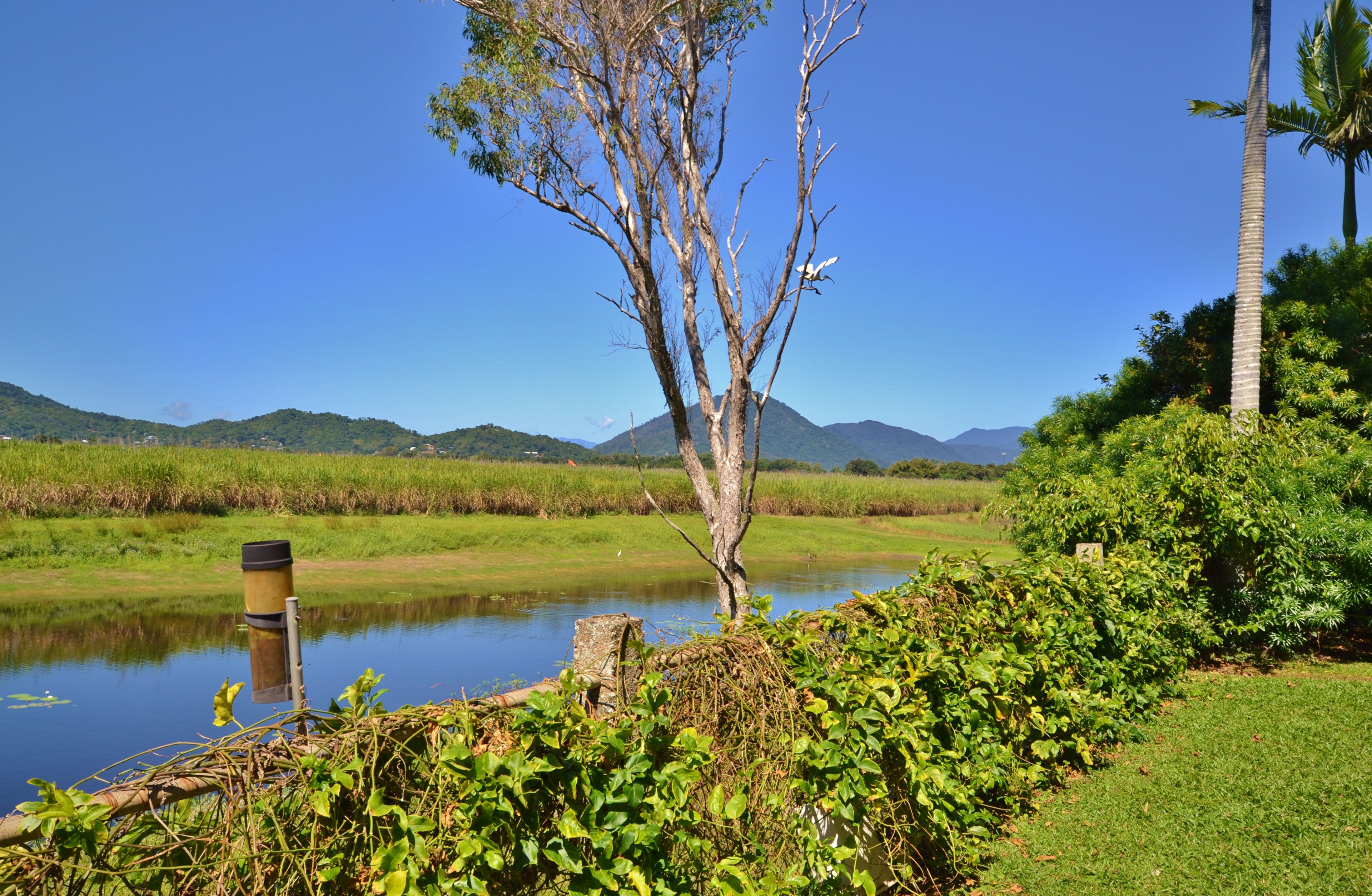 1042 Kamerunga Road, Kamerunga, QLD 4870