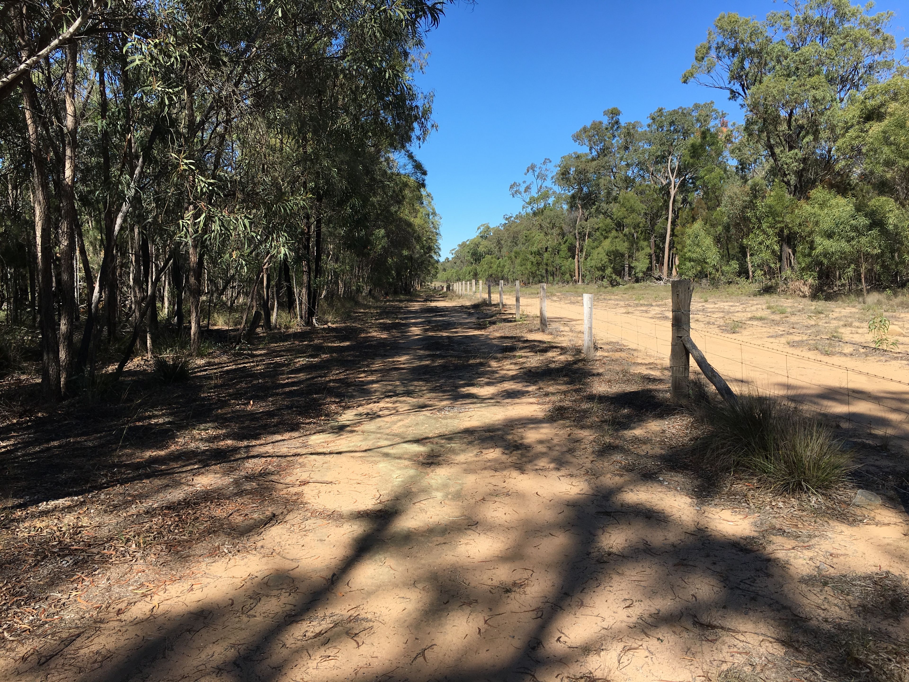 1194 Stonehenge Road, Stonehenge, QLD 4357