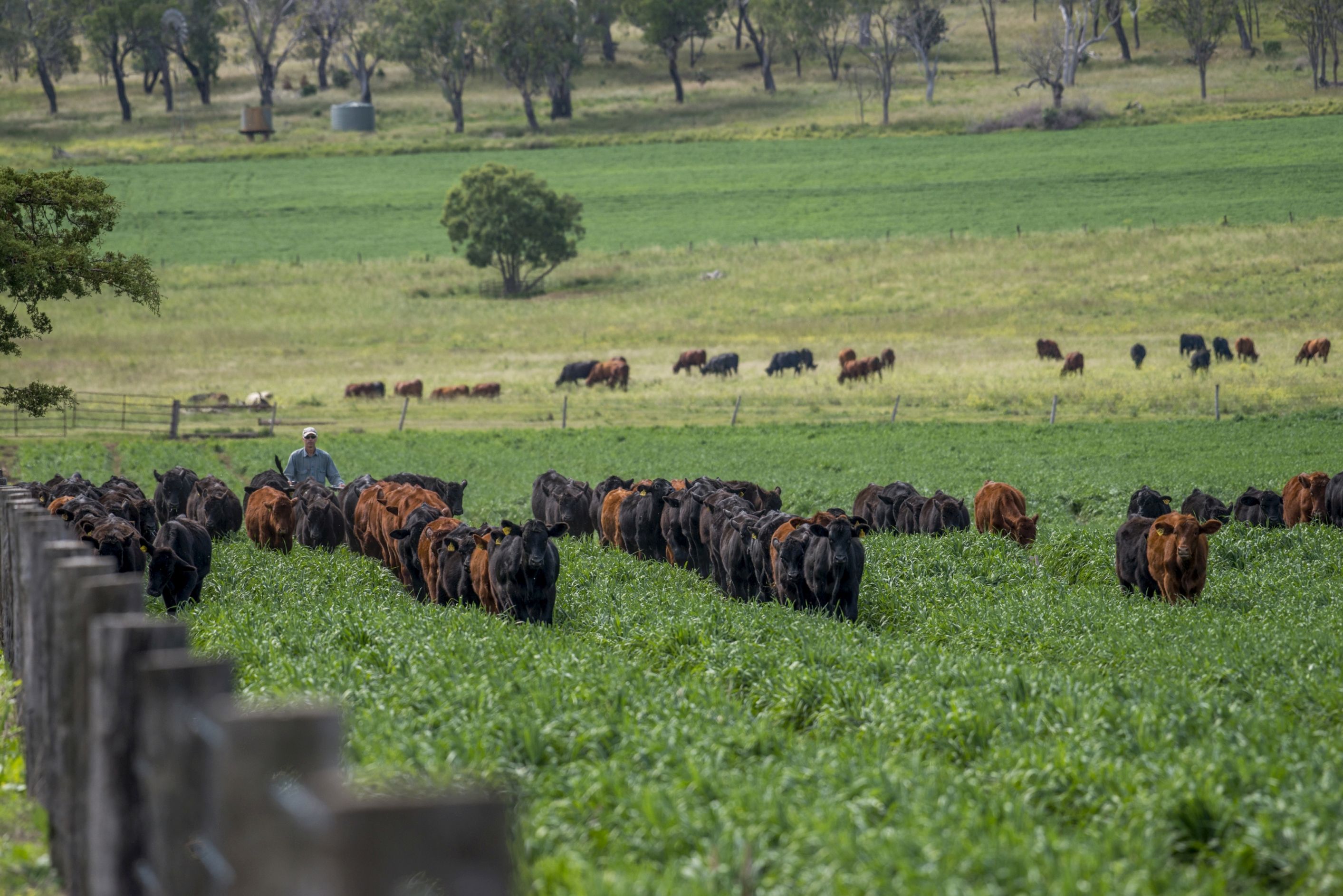 Felton, QLD 4358