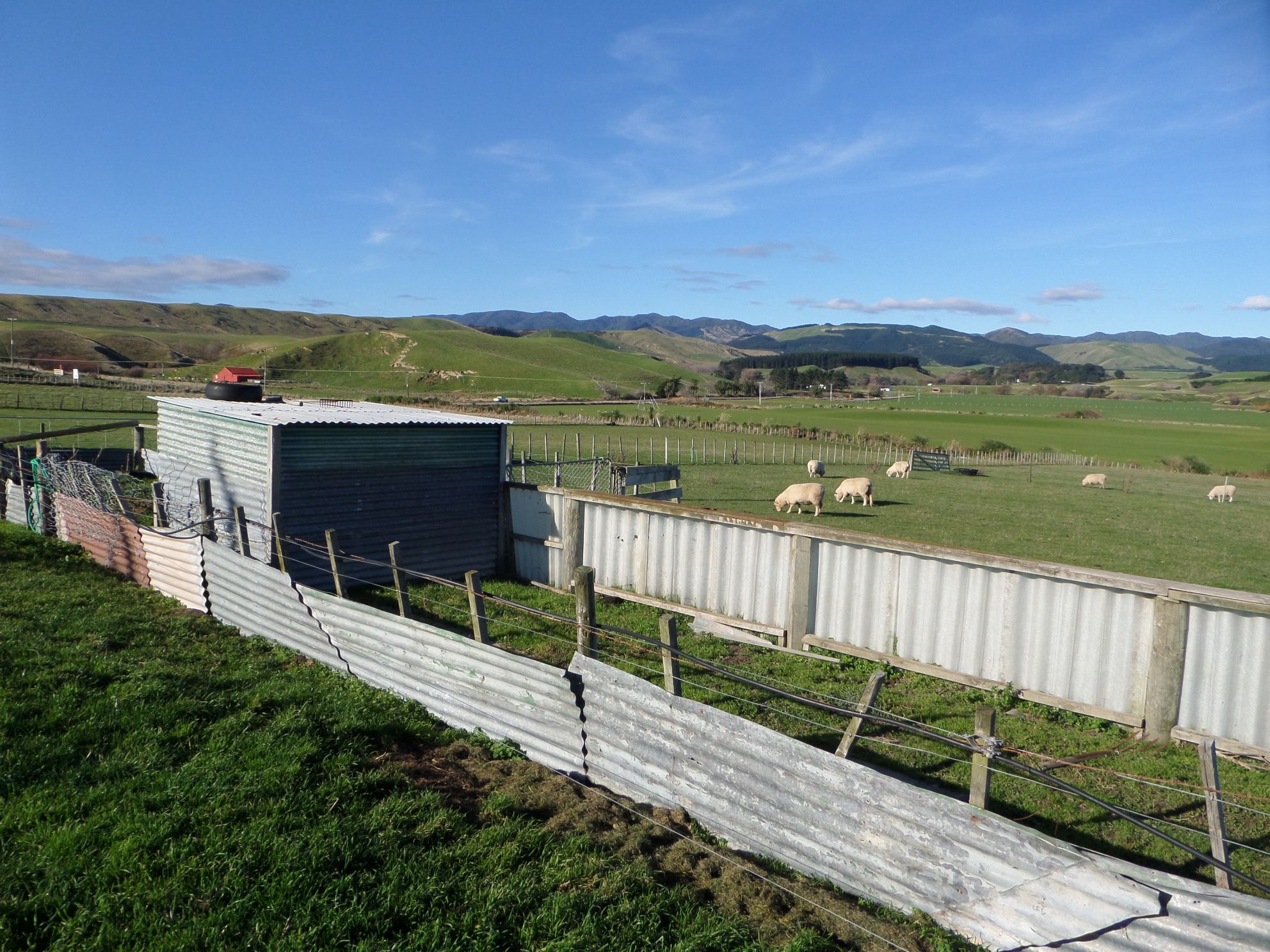 0 Whangaimoana Road, Cape Palliser, South Wairarapa District
