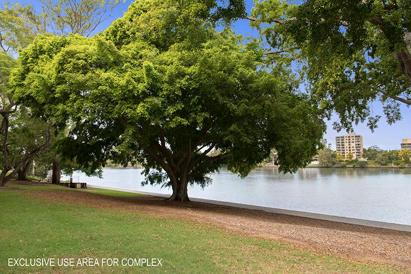 4/10 Carlow Street, West End, QLD 4101