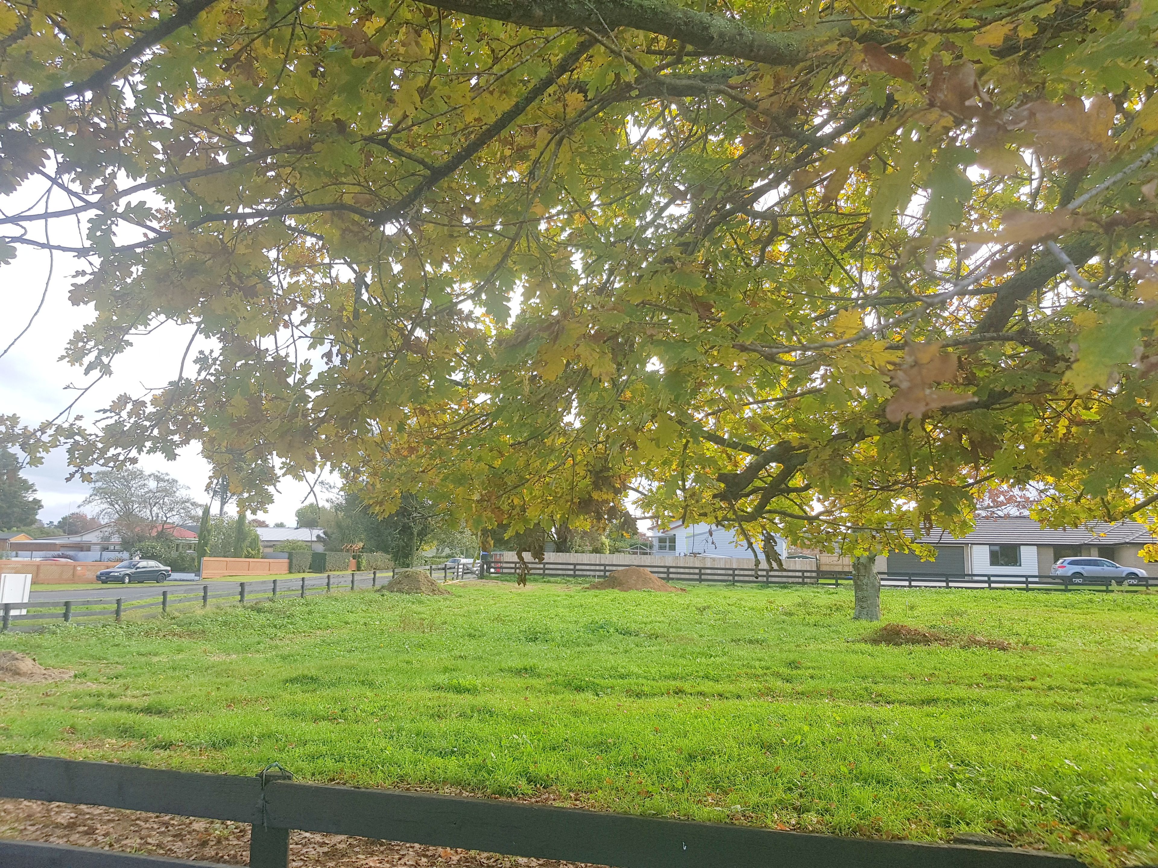 Lot 3 Sheehan Street, Kihikihi, Waipa District