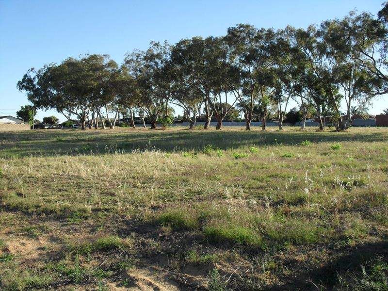 53 Broome Street, Spalding, WA 6530