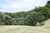 Kaukapakapa  Rodney  0871 photo 4