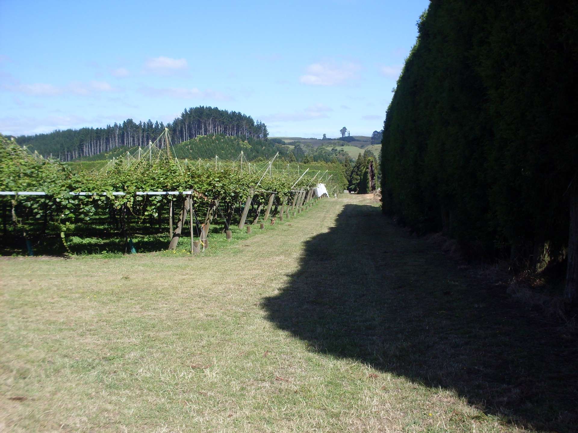 744 Maungarangi Road, Te Puke, Western Bay Of Plenty District Real