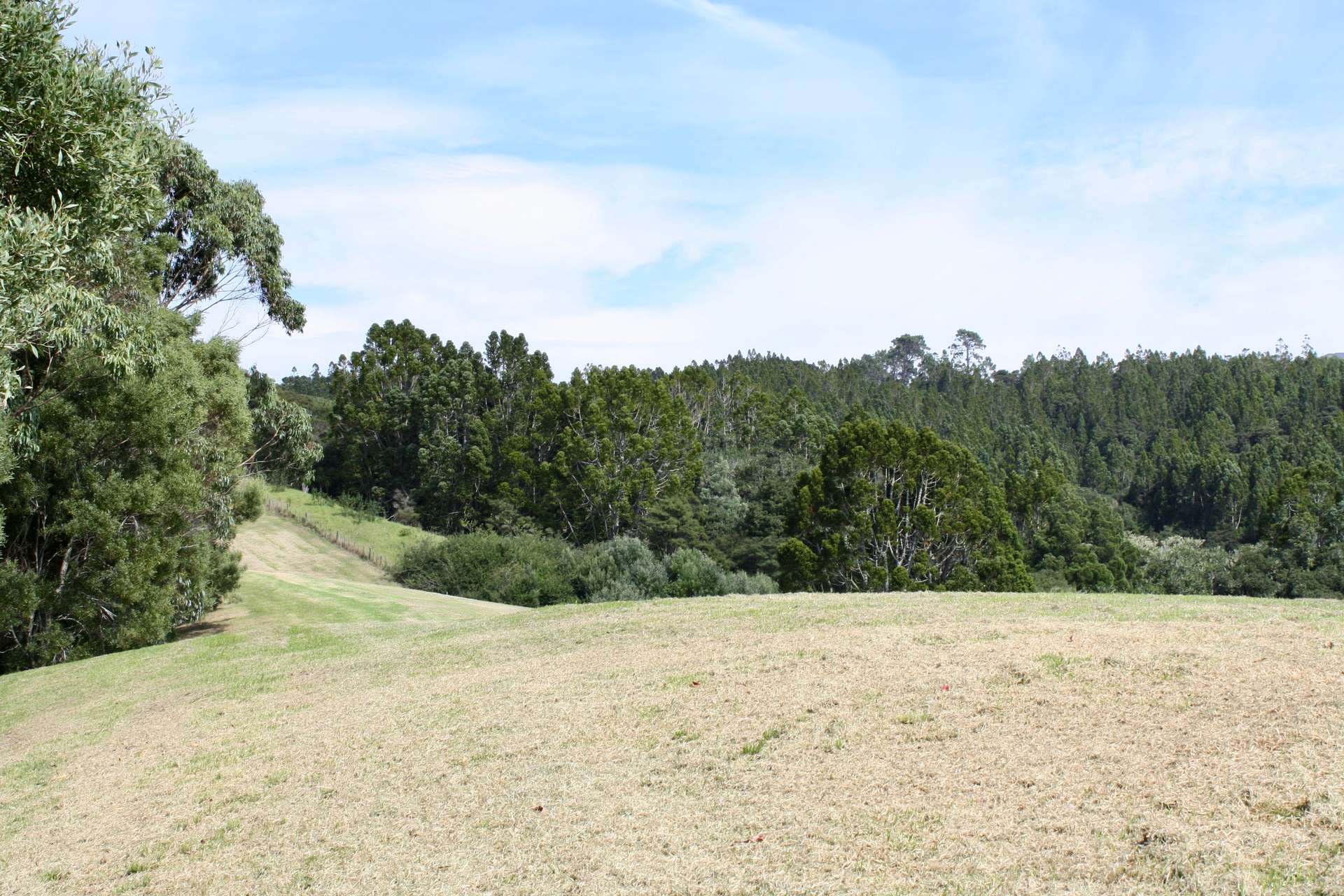 Kaukapakapa  Rodney  0871 photo 7