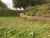 1/696 Mangaorongo Road photo 2