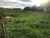 666 Mangaorongo Road photo 2