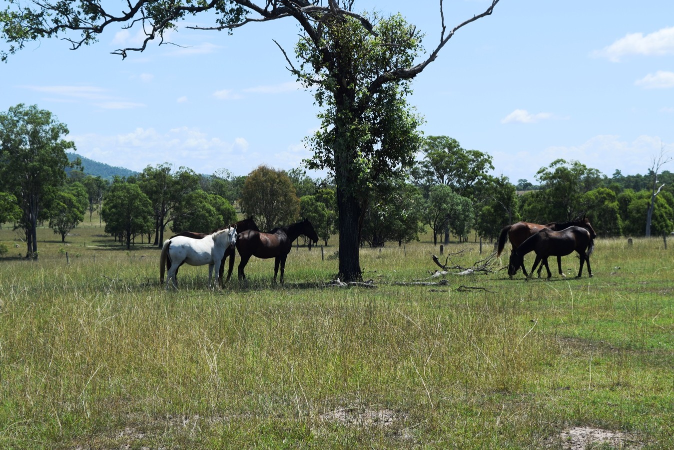 148 Dead Horse Lane, Toogoolawah, QLD 4313