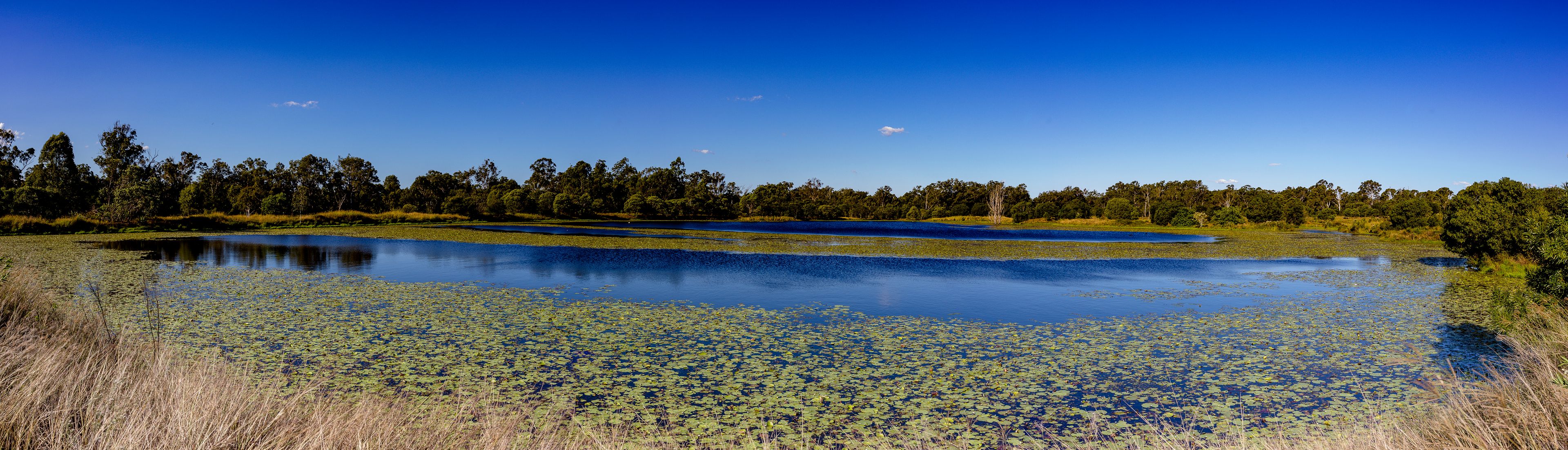 34-146 Missigs Road, Haigslea, QLD 4306