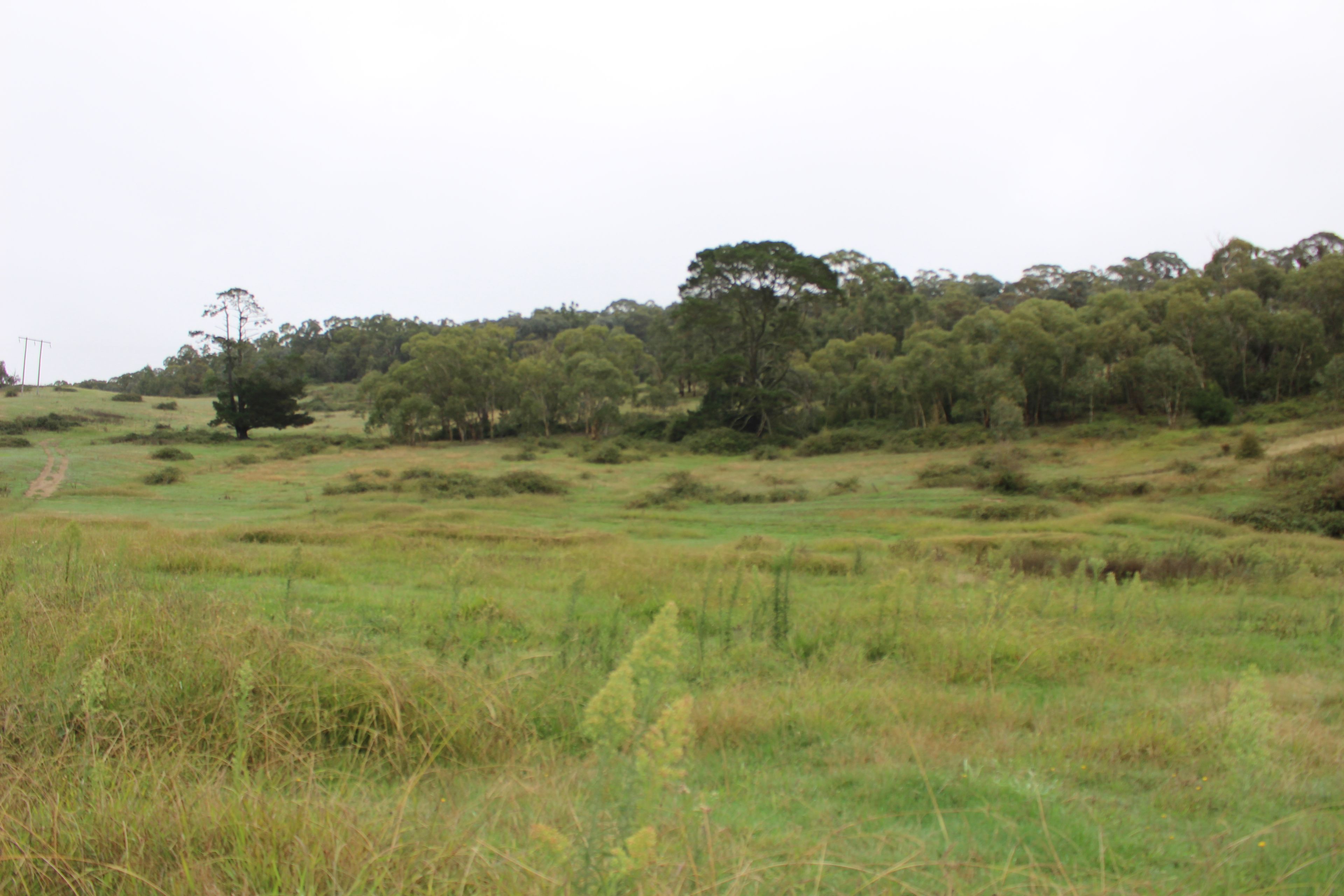 Lot 1 Charles Street, Rydal NSW 2790