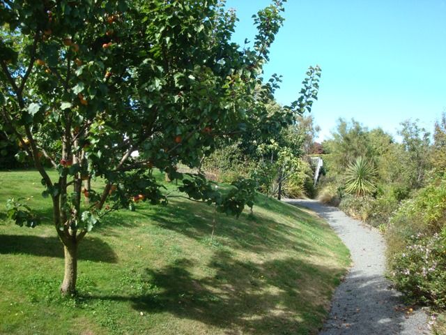25 Hyndhope, Kennedys Bush, Christchurch City