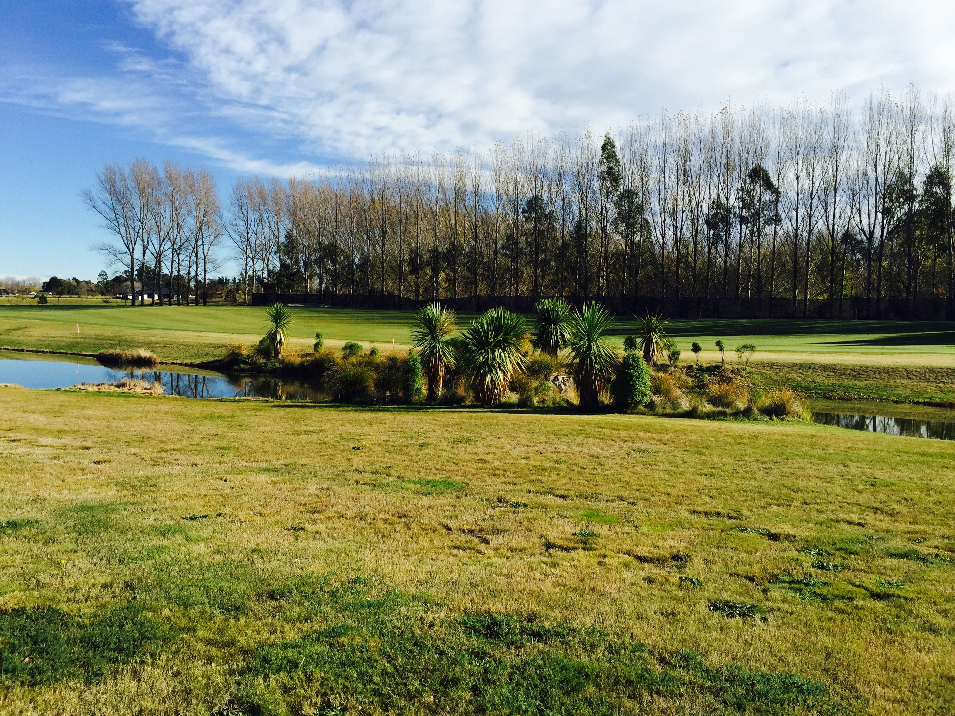 29 Mapleham Drive, Pegasus, Waimakariri District