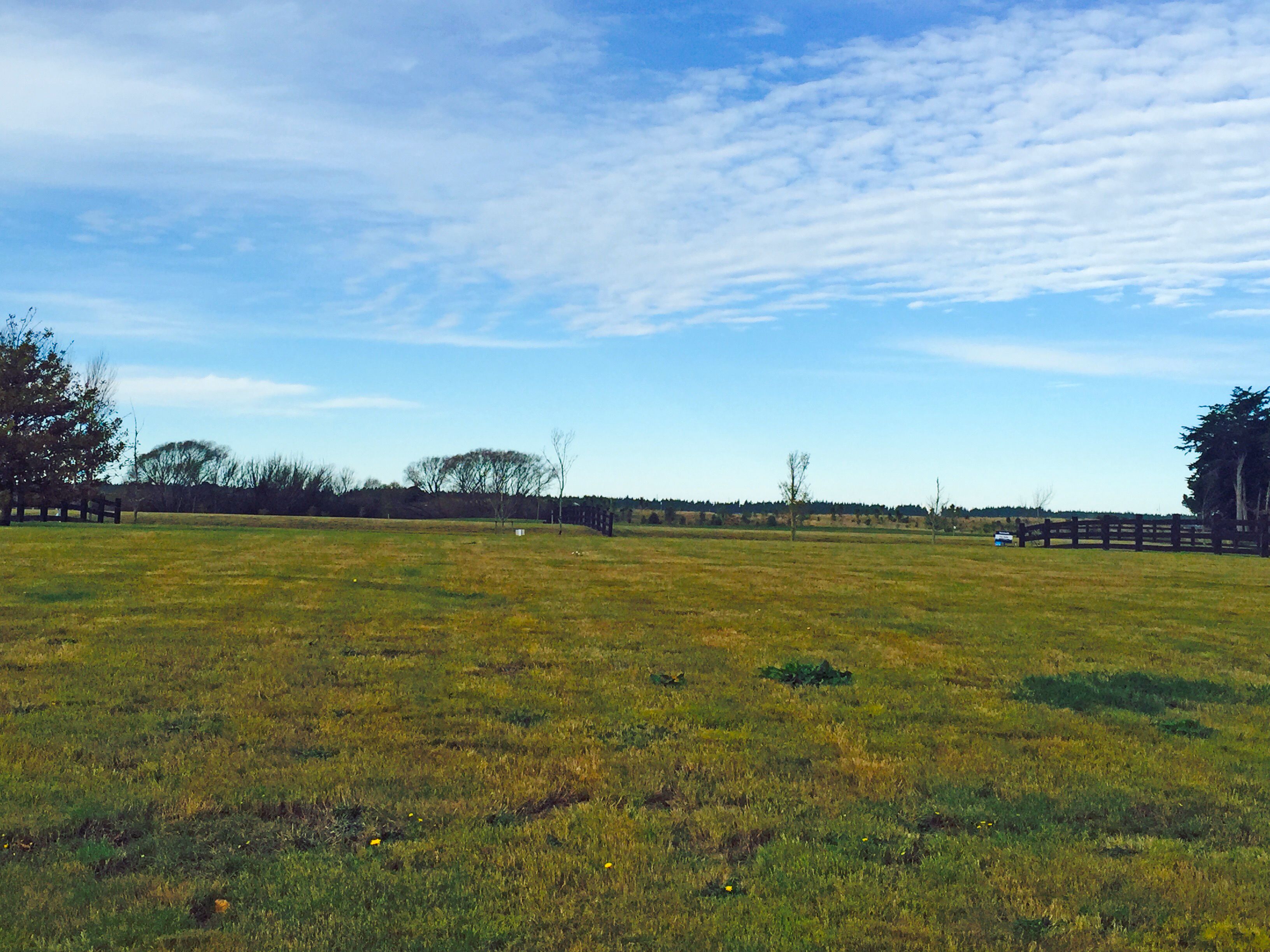 27 Mapleham Drive, Pegasus, Waimakariri District