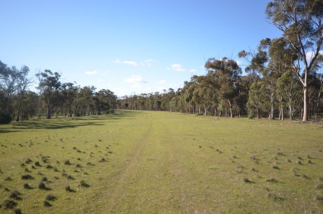 Lot 160 Road 137, Leighton, SA 5417