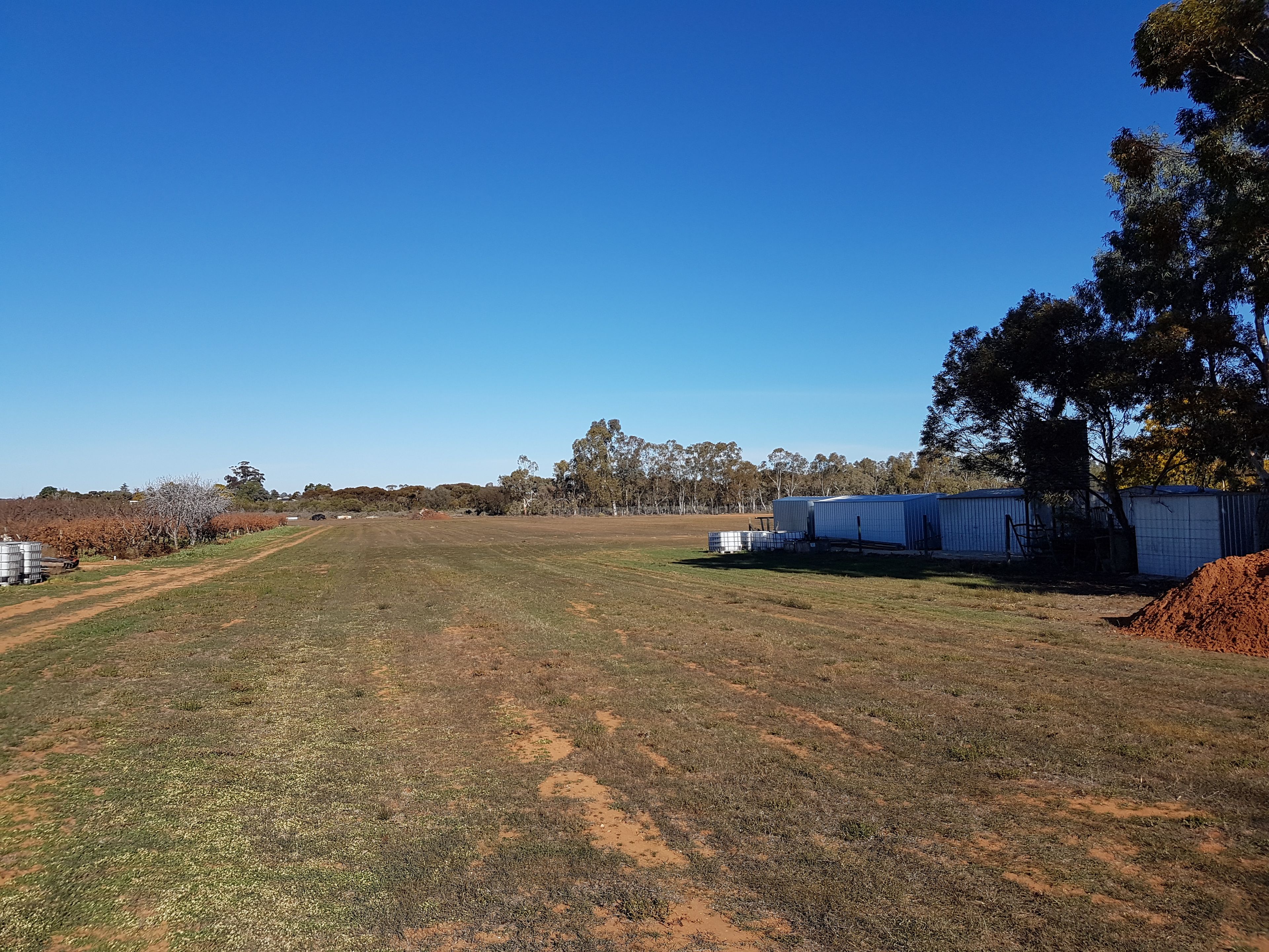 13 Maple Street, Barmera, SA 5345