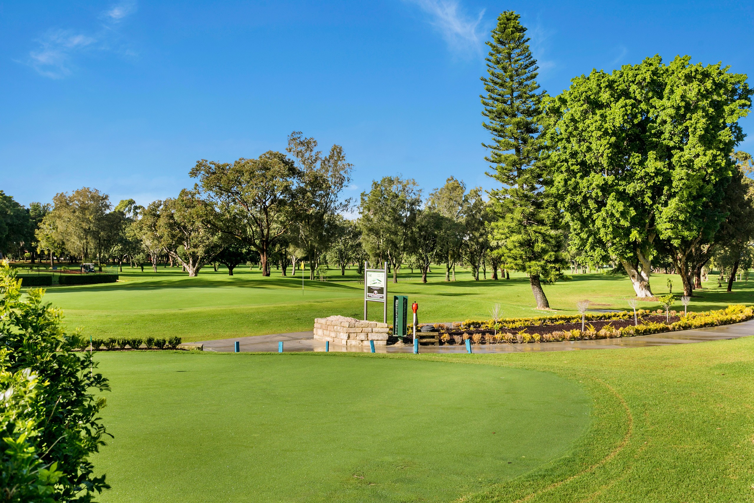 20 Ferry Avenue, Beverley Park, NSW 2217