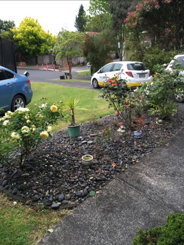 25a Wisteria Way, Mairangi Bay, North Shore City