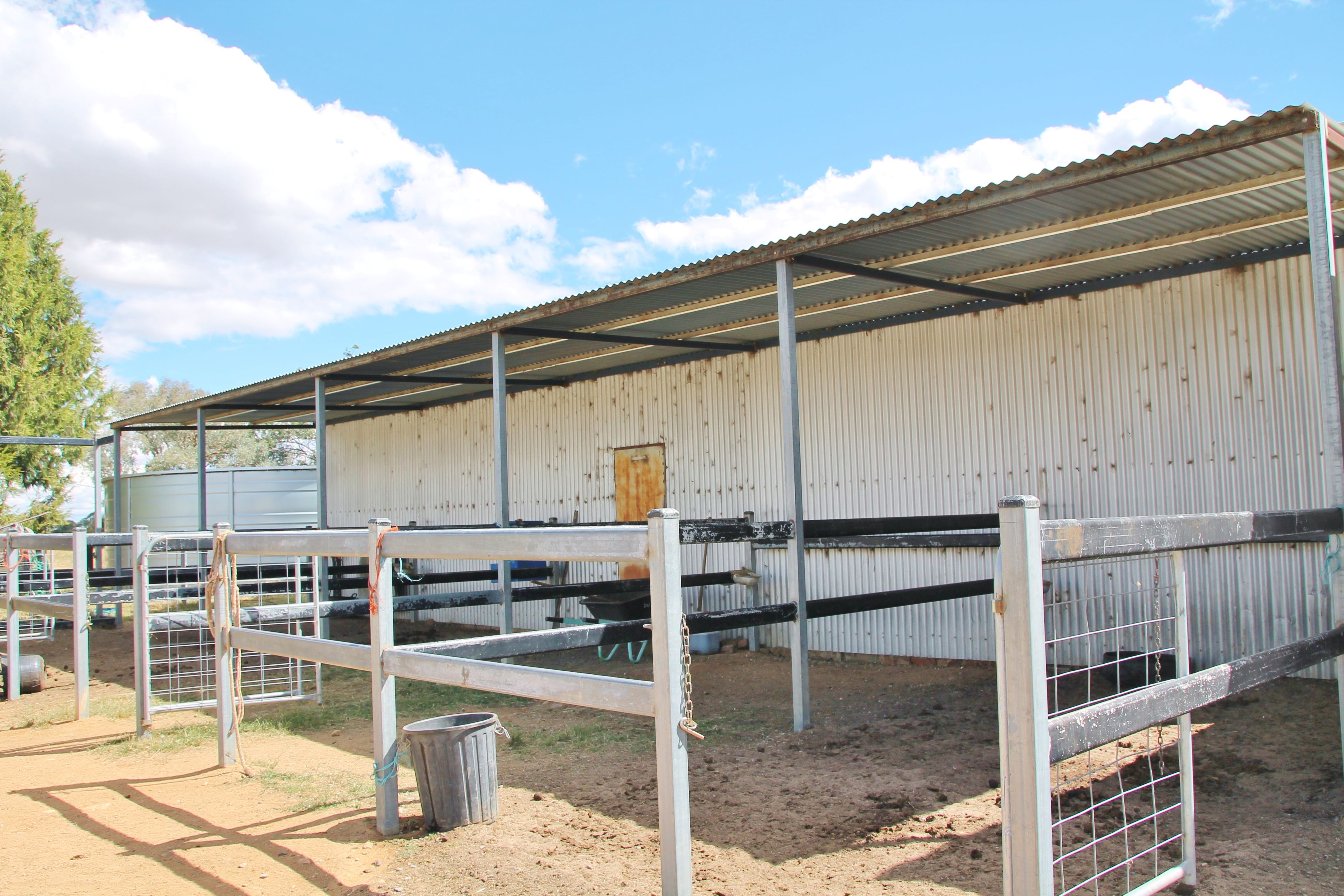 161 Bonnington Road Kingsvale via, YOUNG, NSW 2594