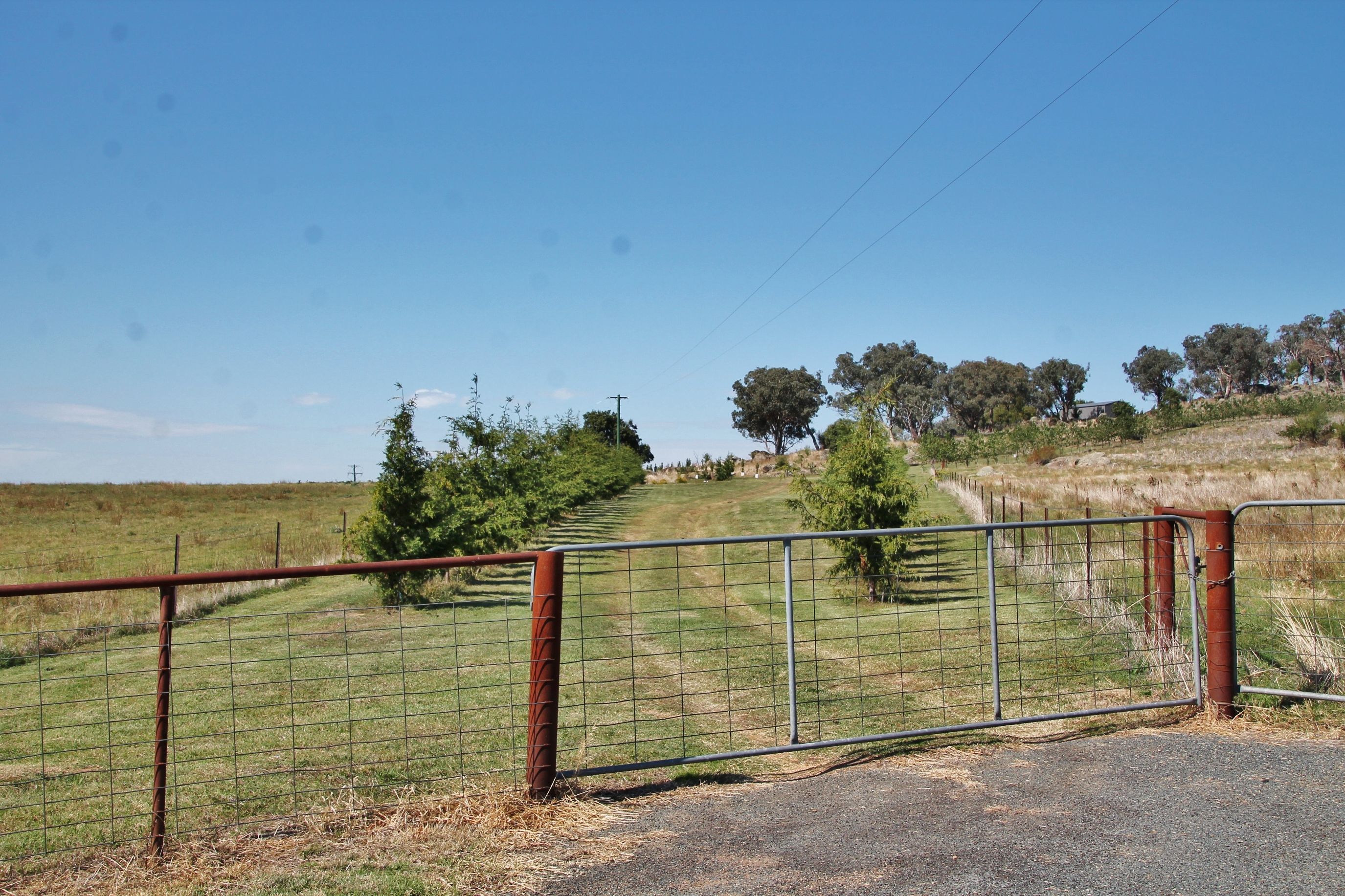 20 Curtis Place, Young, NSW 2594