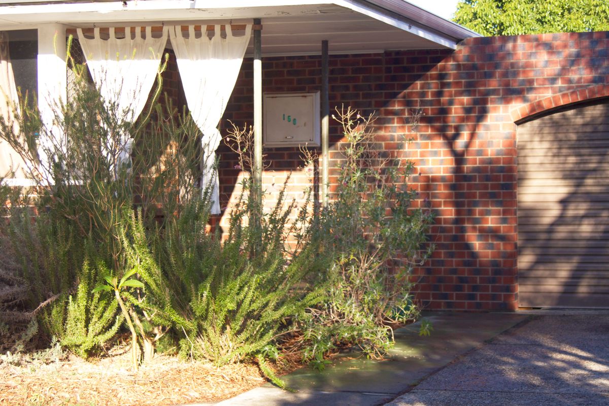 158 Nollamara Avenue, Nollamara, WA 6061