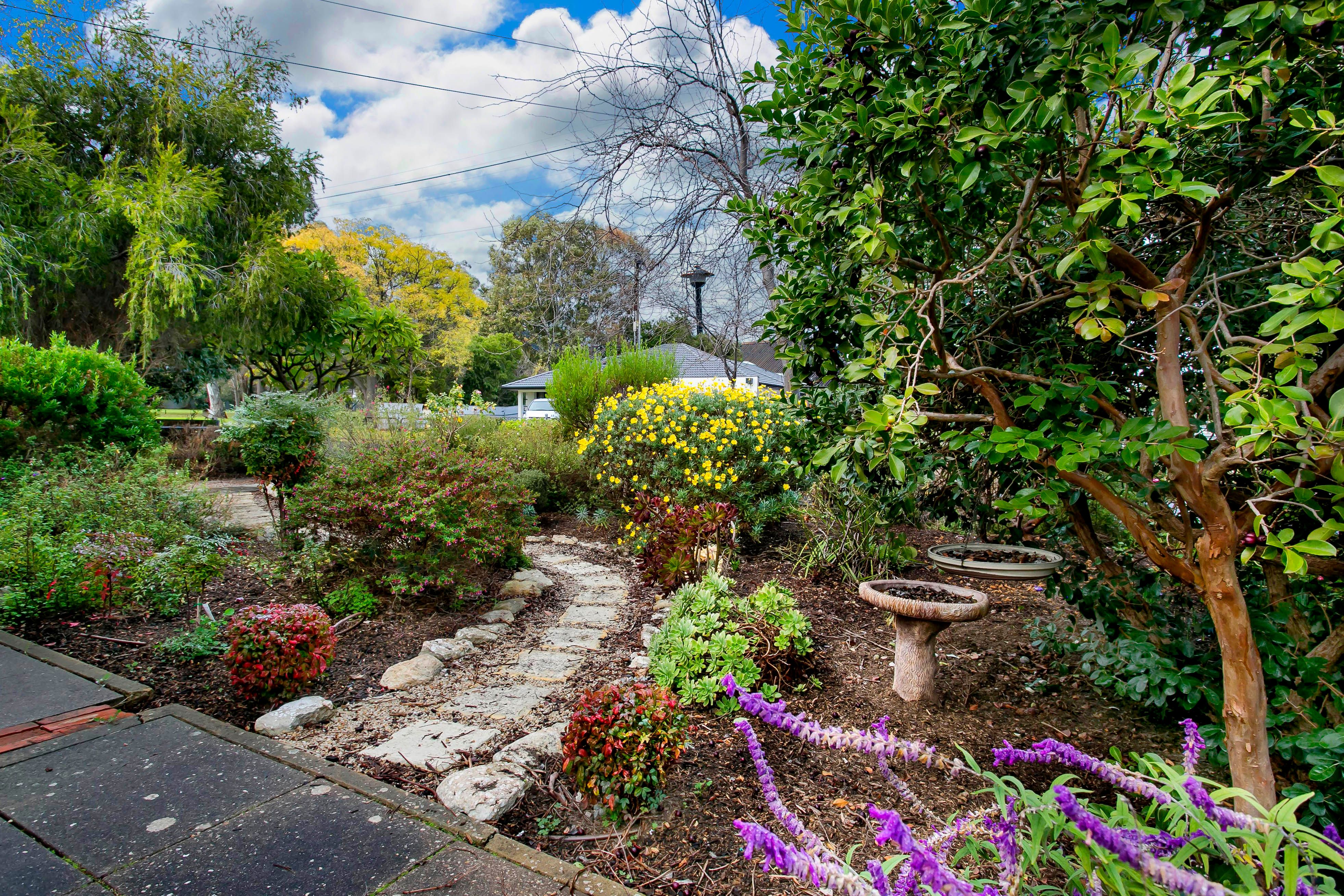 104 Penang Avenue, Melrose Park, SA 5039