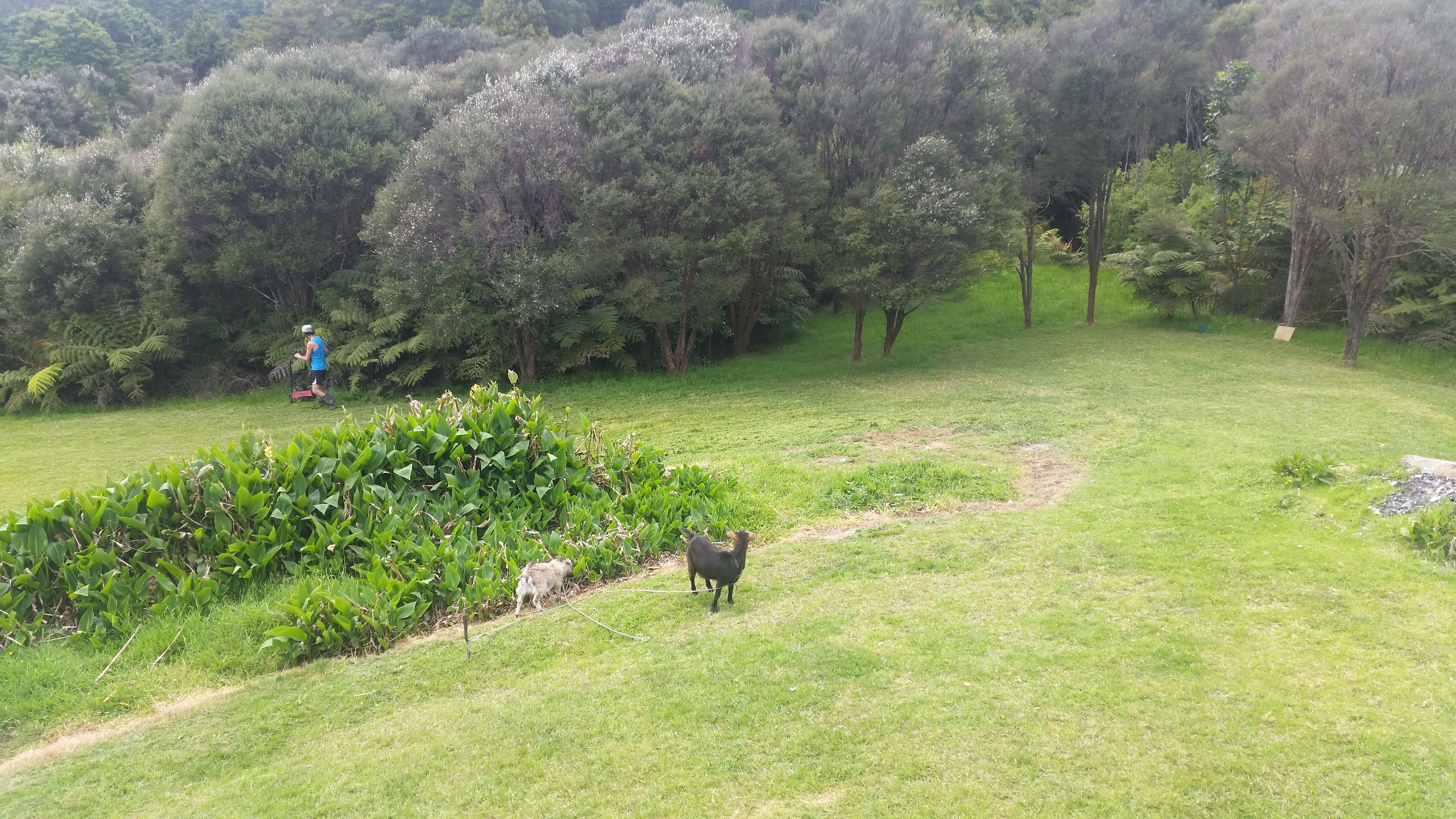 KERIKERI SURROUNDS, Northland