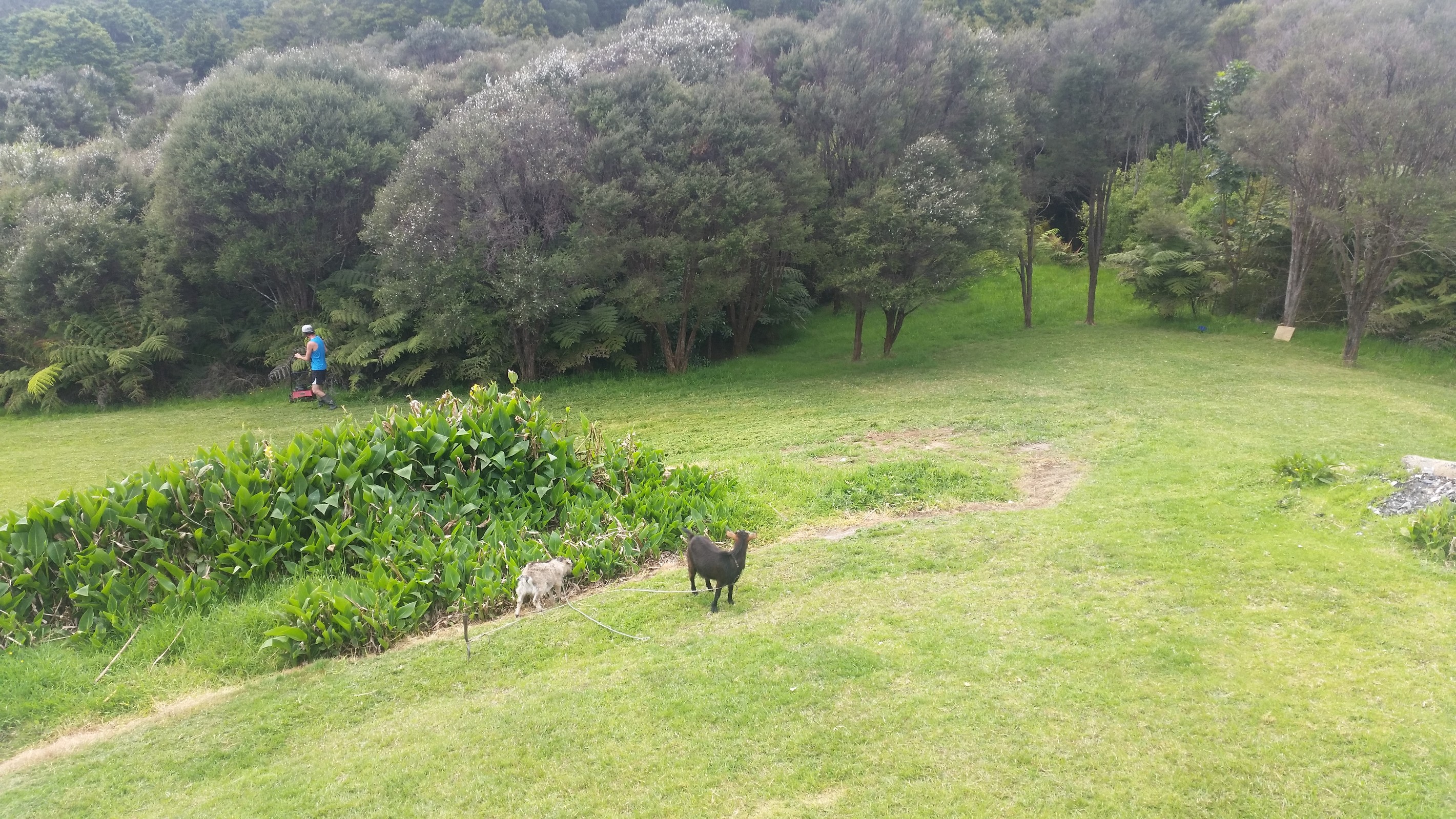 KERIKERI SURROUNDS, Northland