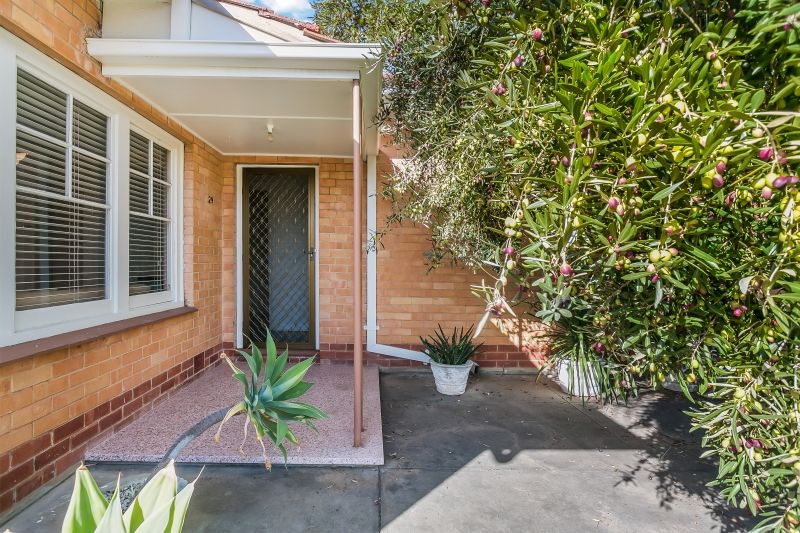 29 Swansea Street, Largs North, SA 5016