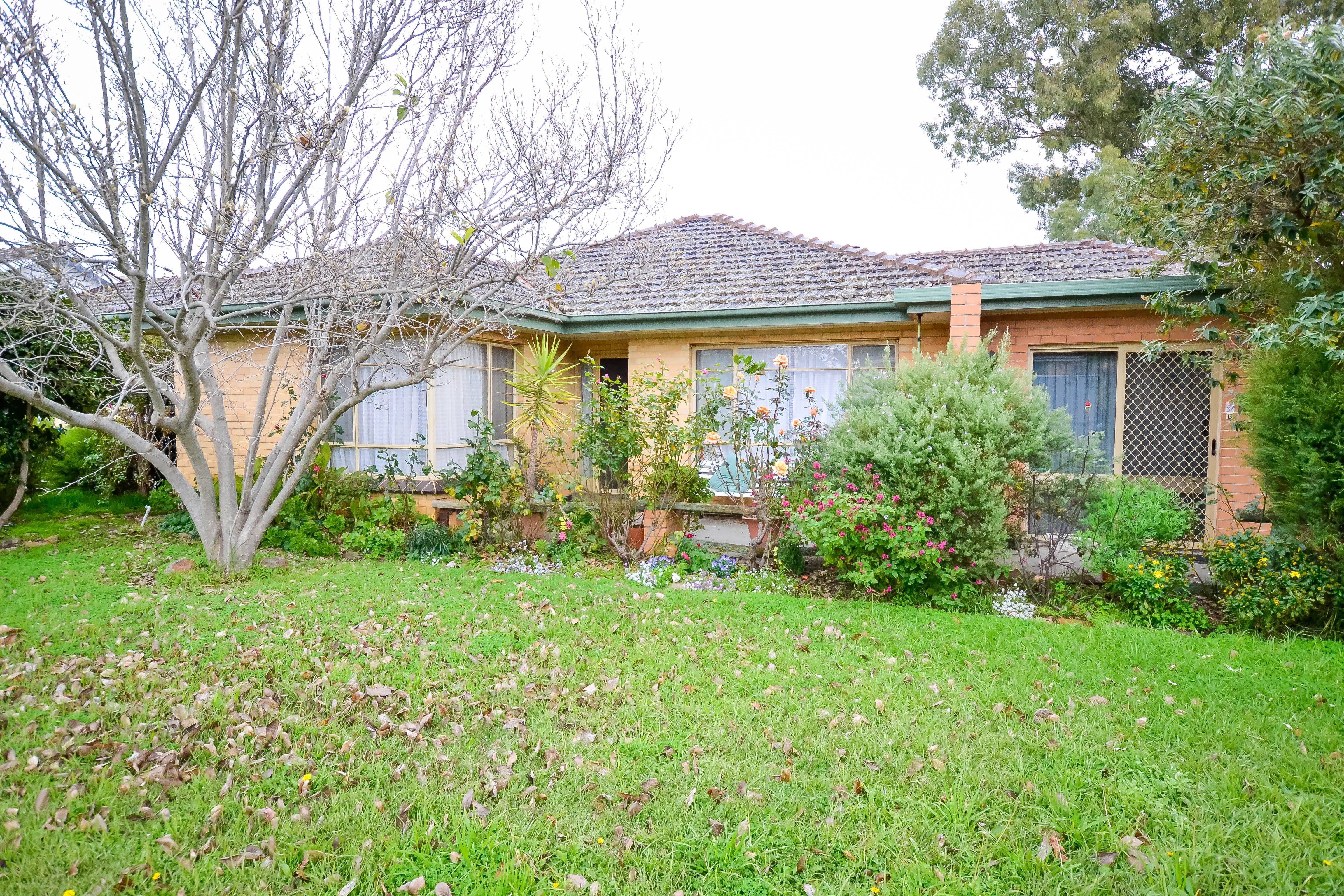 6 Raymond Avenue, Flora Hill VIC 3550