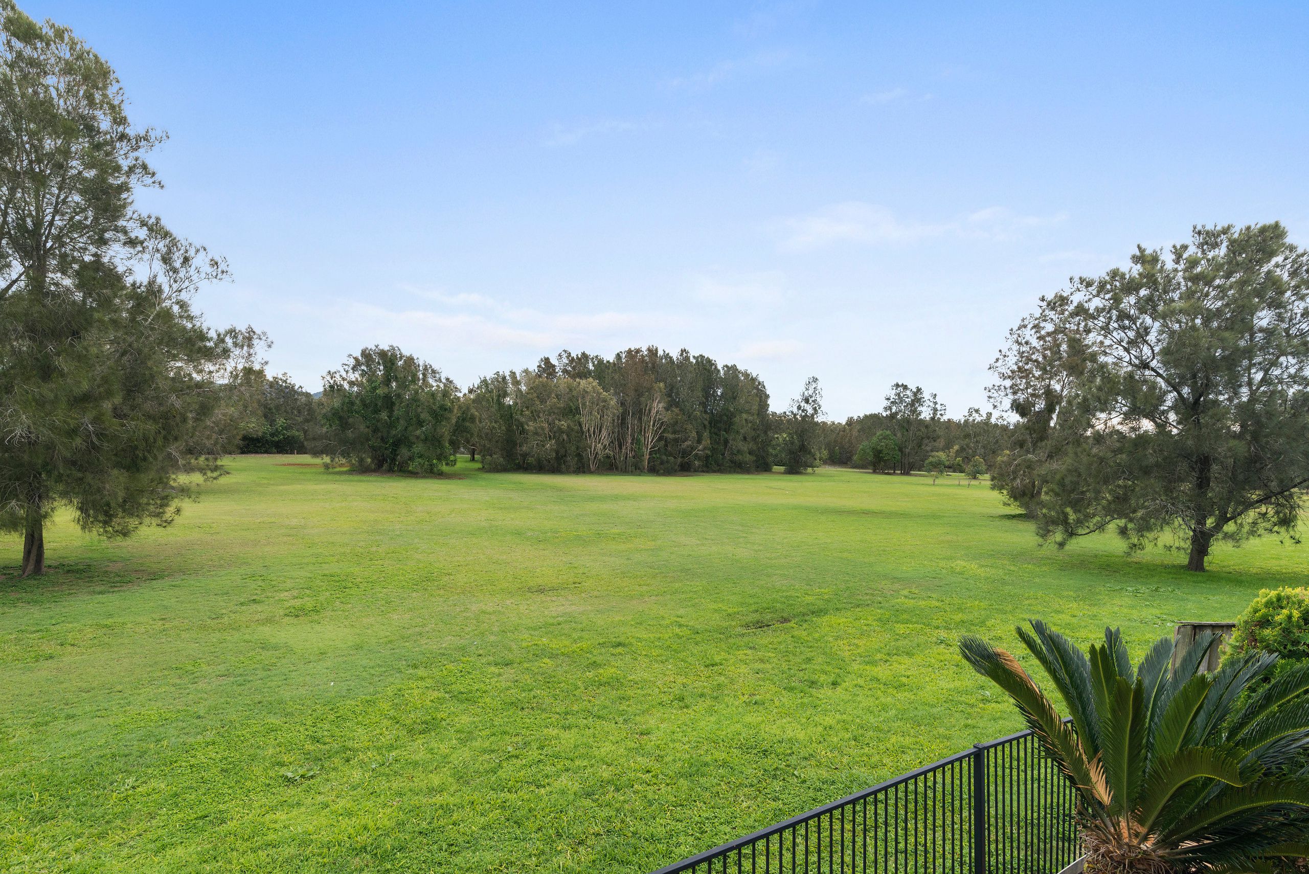 41 Tussock Crescent, Elanora, QLD 4221