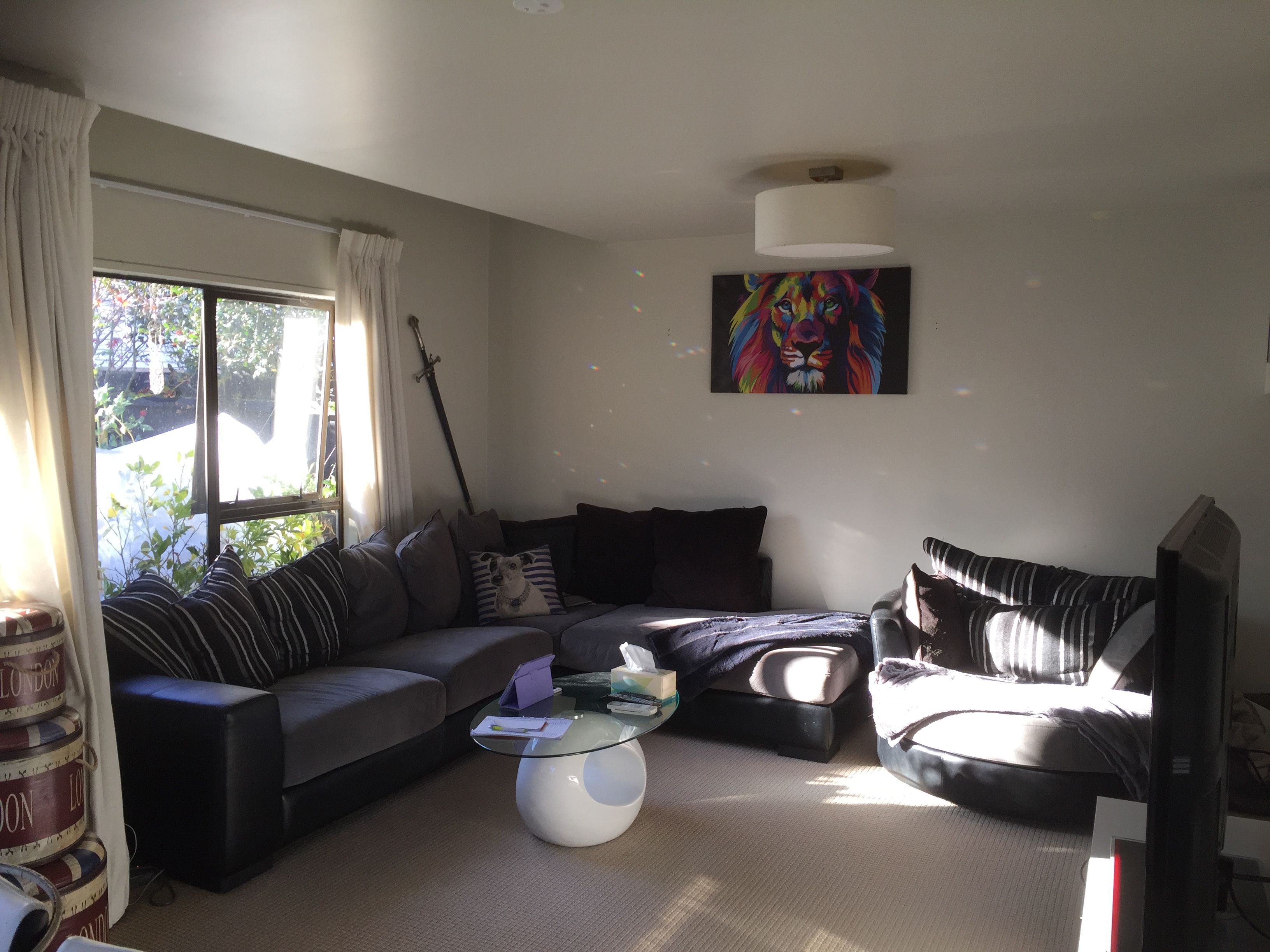 3/125 Champion Street, St Albans, Christchurch City