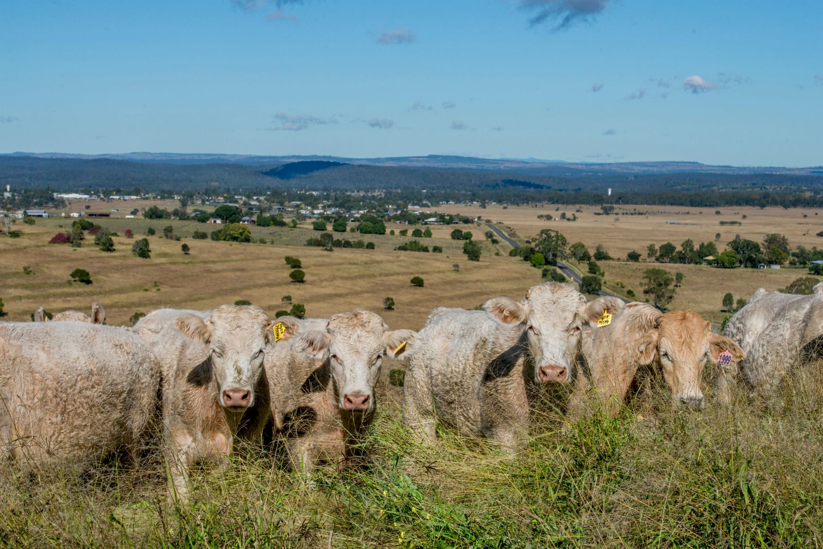 281 Boat Mountain Road, Murgon, QLD 4605