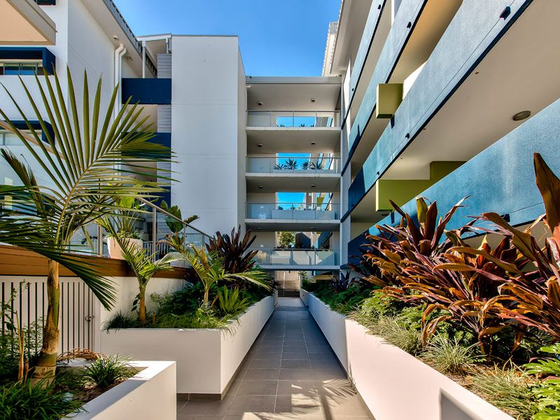 19 Tank Street, Kelvin Grove QLD 4059